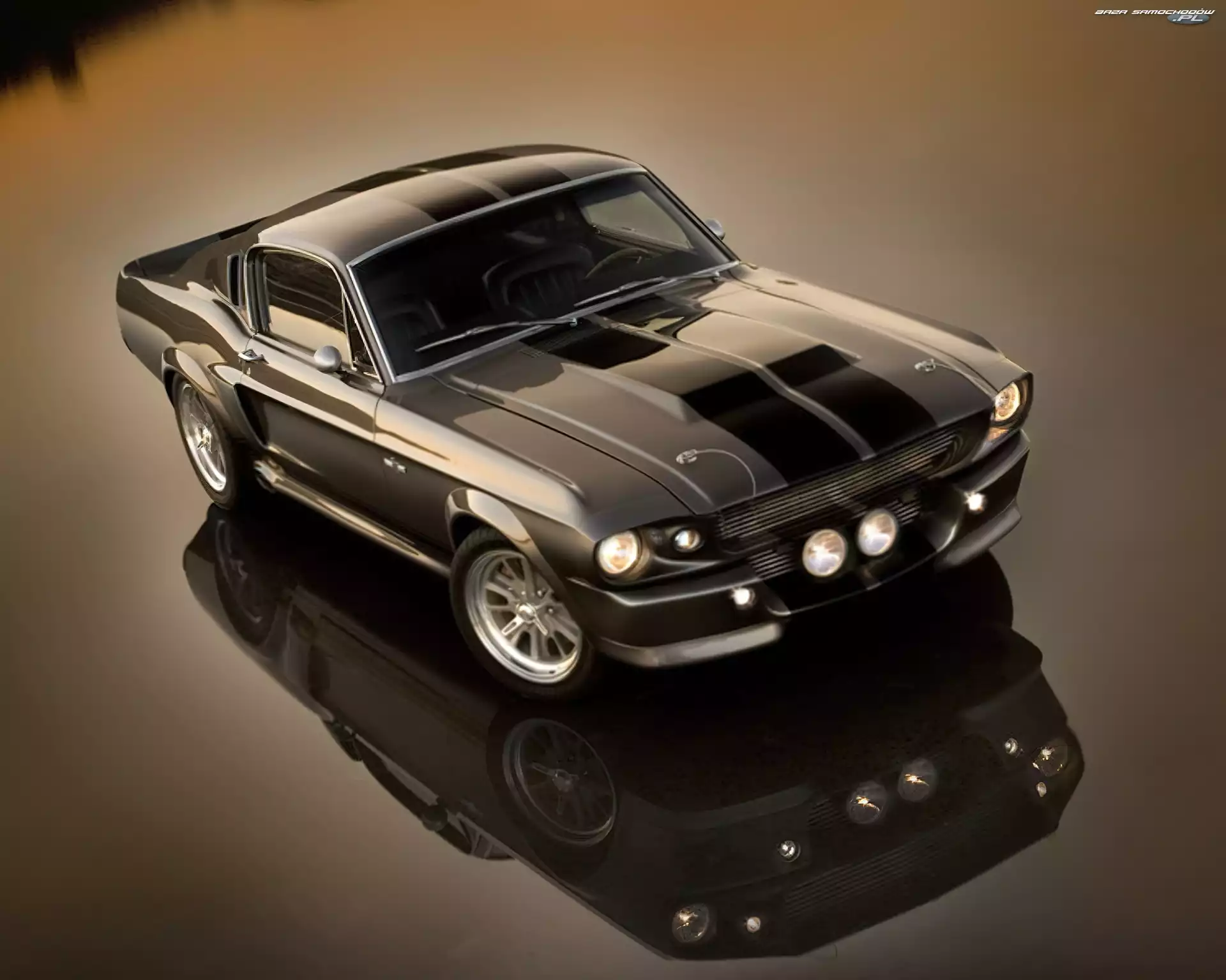 Shelby, Ford Mustang