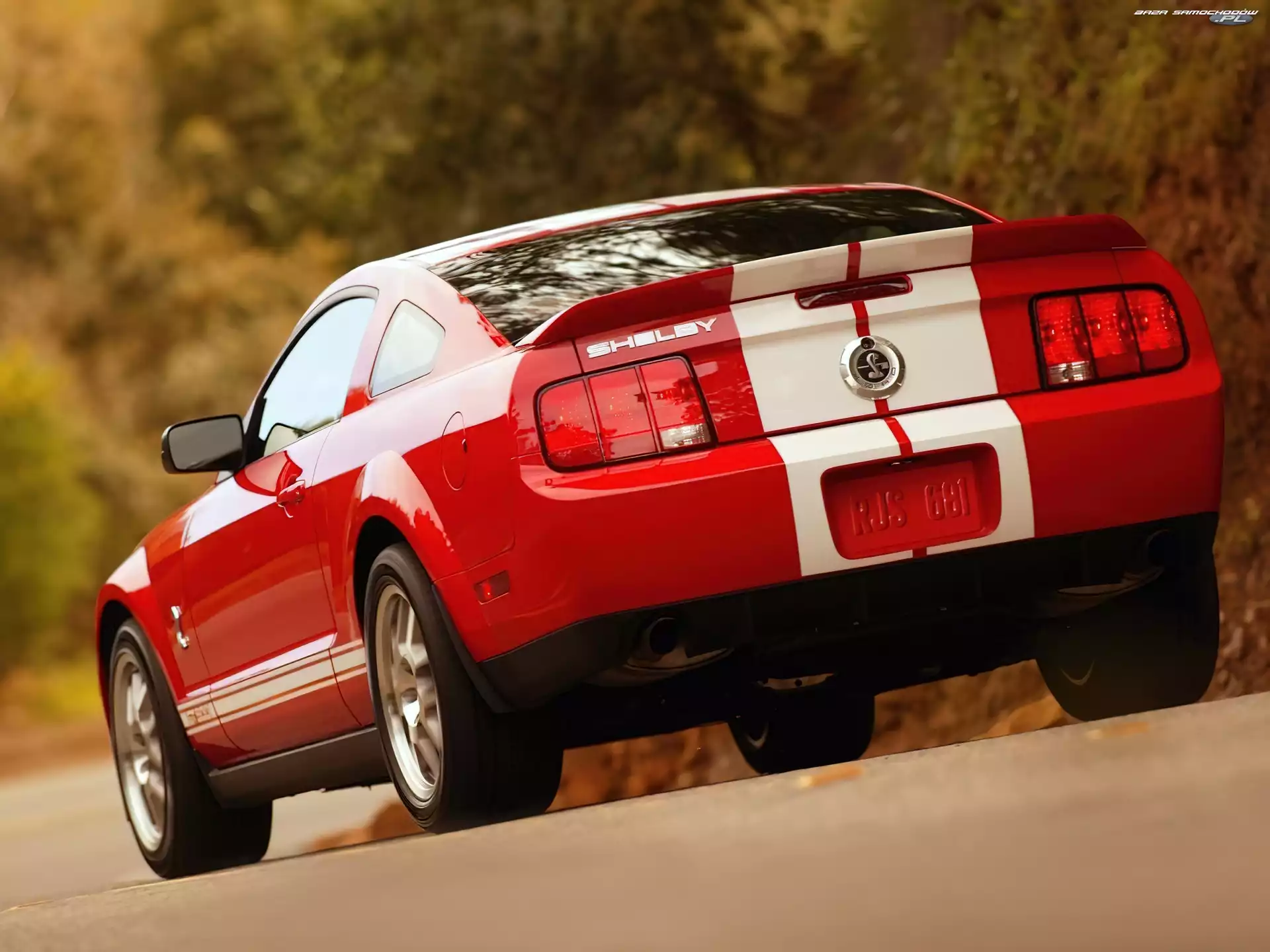 Shelby, Ford Mustang