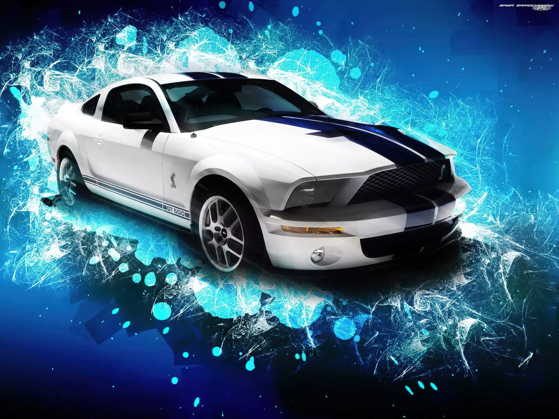 Shelby, Ford Mustang
