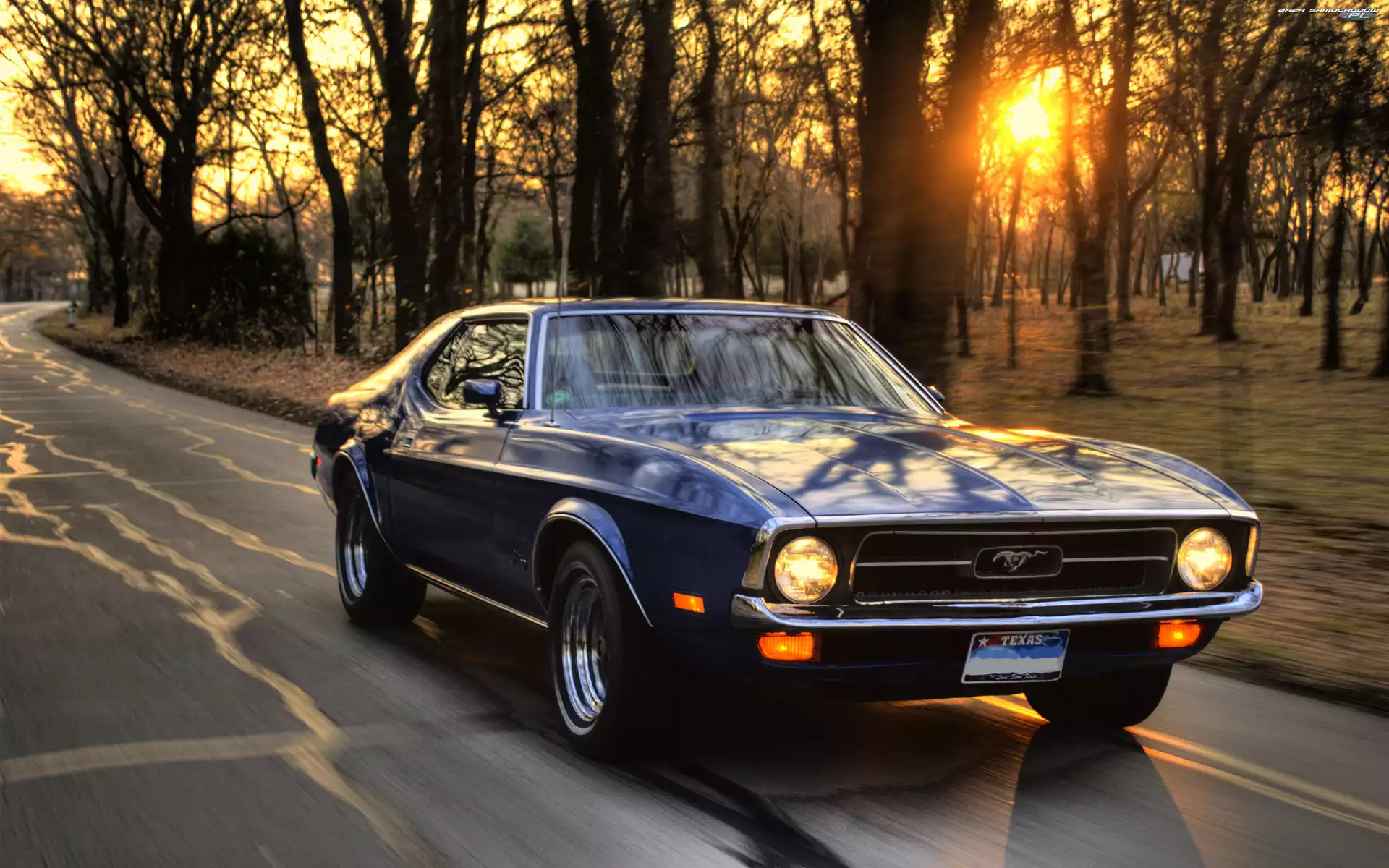 Słońca, Mustang, Granatowy, Park, Zachód, Ford, Ulica