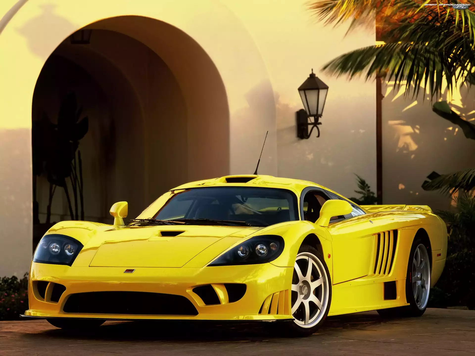 Nadwozia, Linia, Saleen S7, Żółty, Sportowa