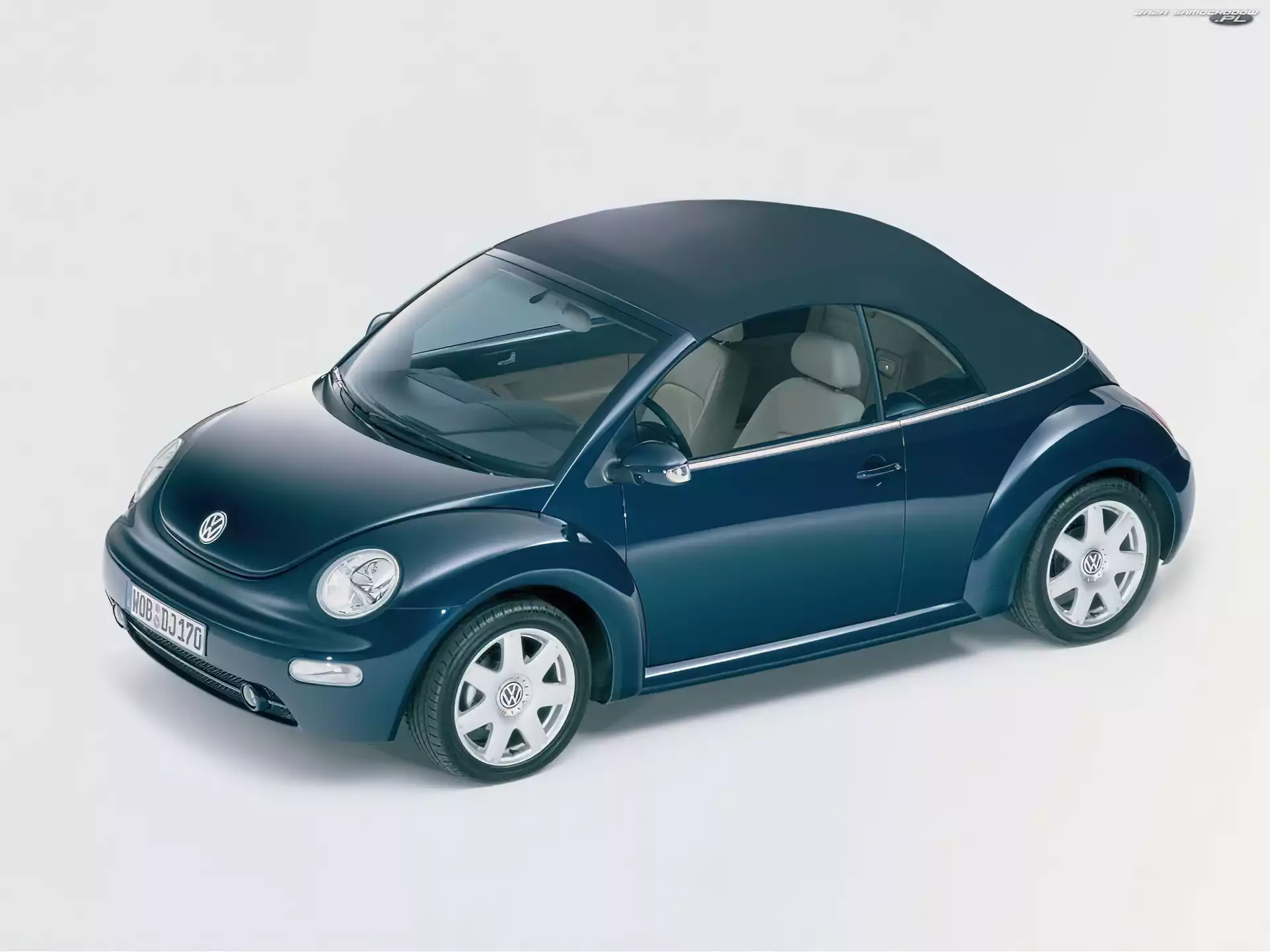 New Beetle, Biała Skóra