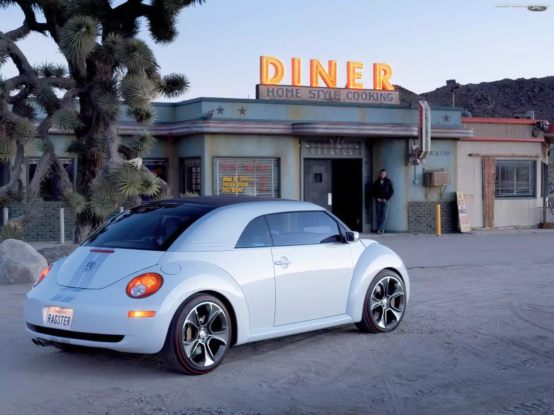 Volkswagen New Beetle