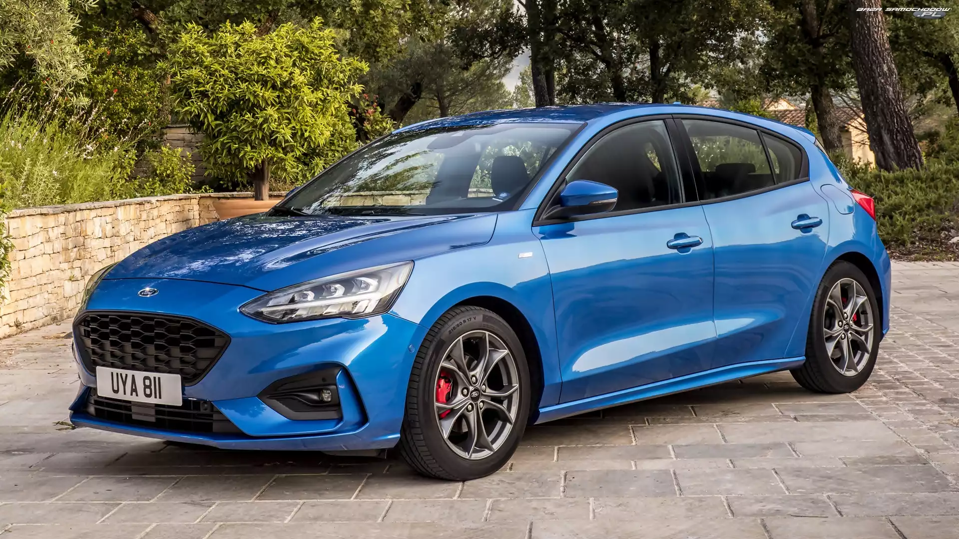 Niebieski, Ford Focus ST