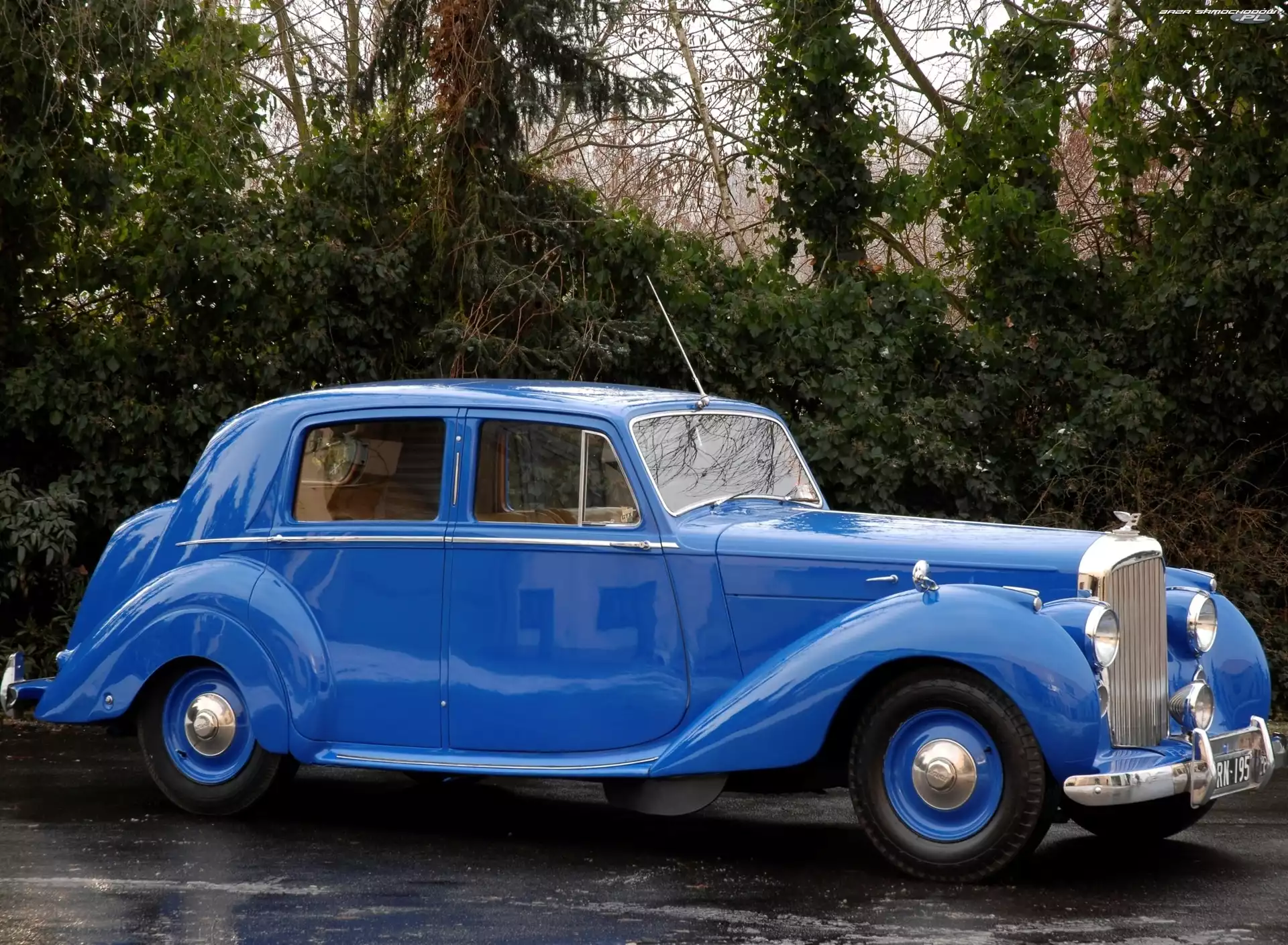 Niebieski, Bentley Mark VI