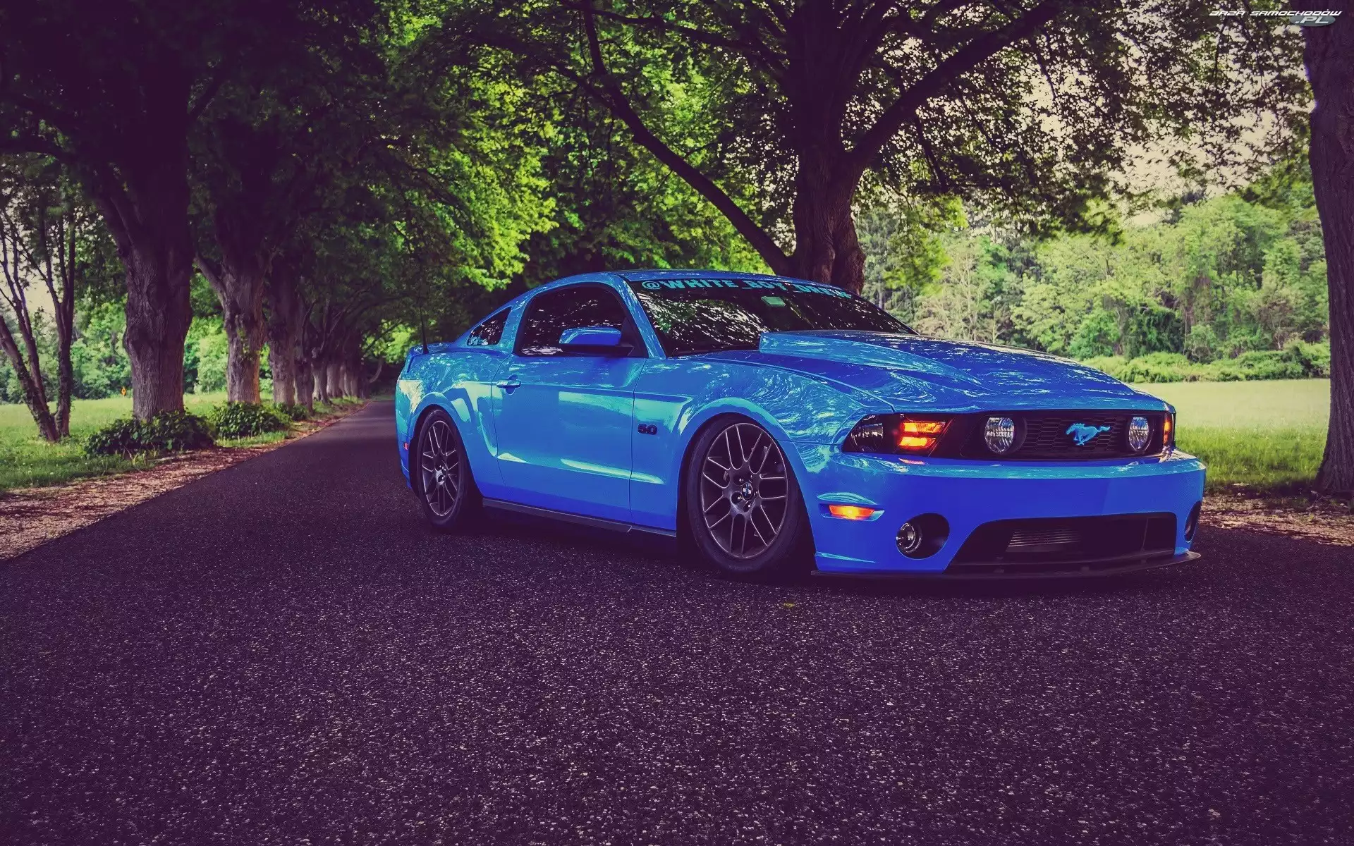 Niebieski, Ford Mustang Shelby GT700