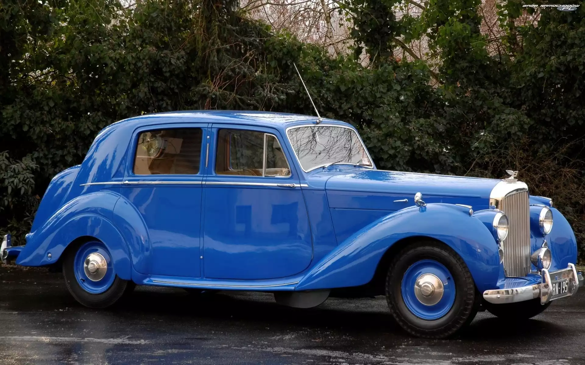 Niebieski Rolls Royce, Drzewa, Zabytkowy, Ulica