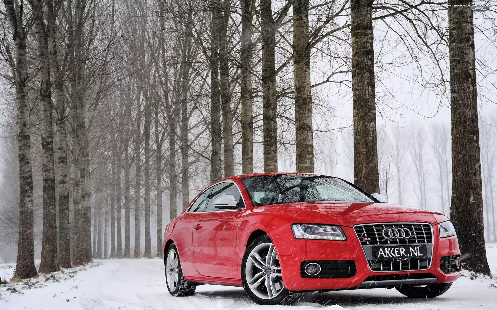 Śnieg, Droga, Audi S5, Czerwone, Las