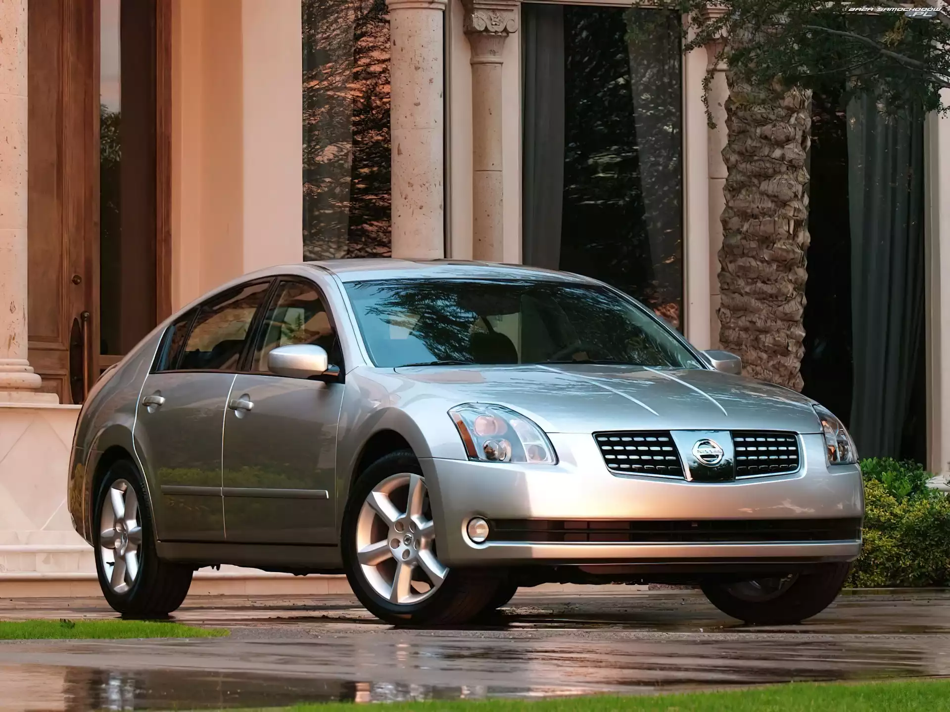 Srebrny Metalik, Nissan Maxima