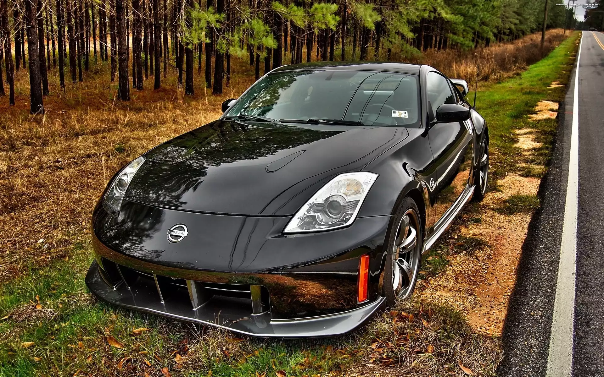 Pobocze, Nissan350Z, Las