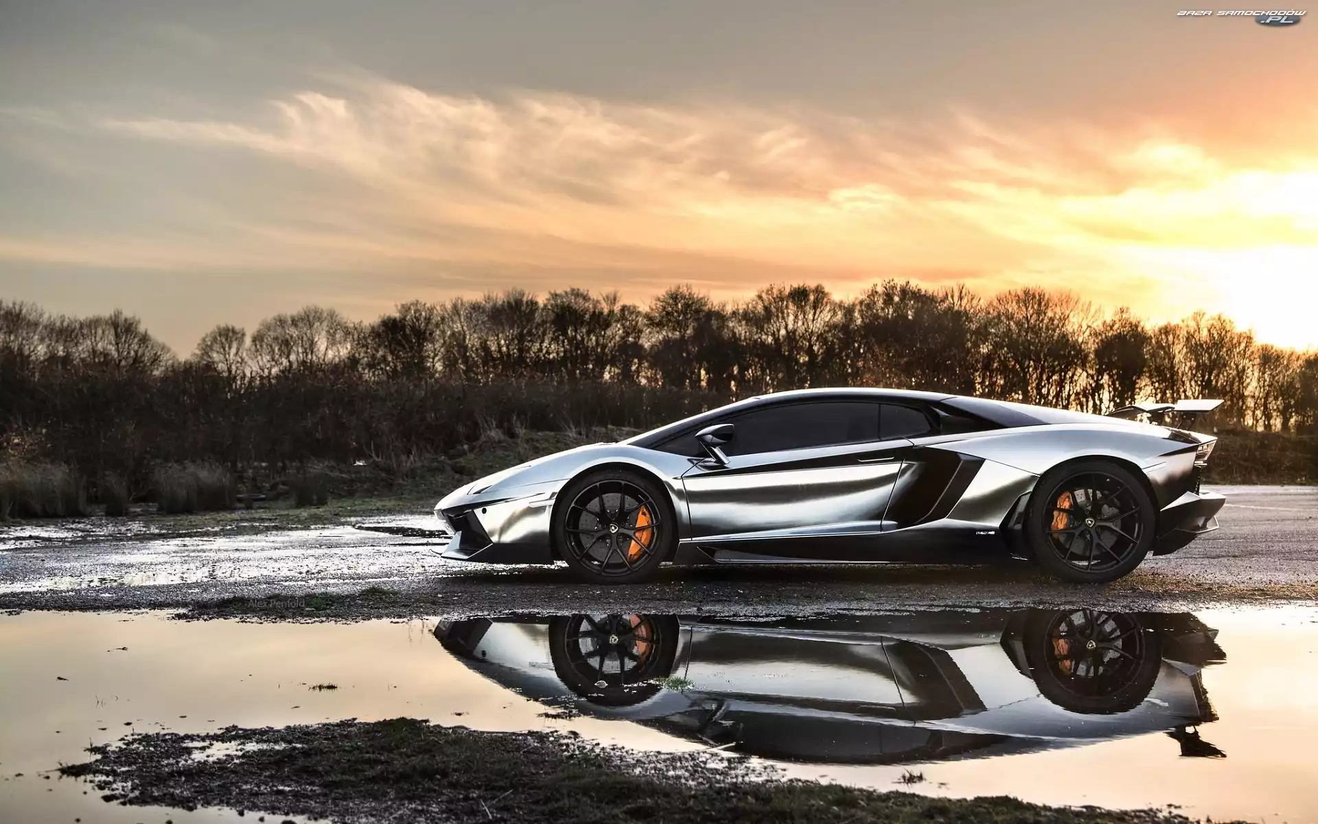 Odbicie, Kałuża, Droga, Lamborghini Adventador, Drzewa