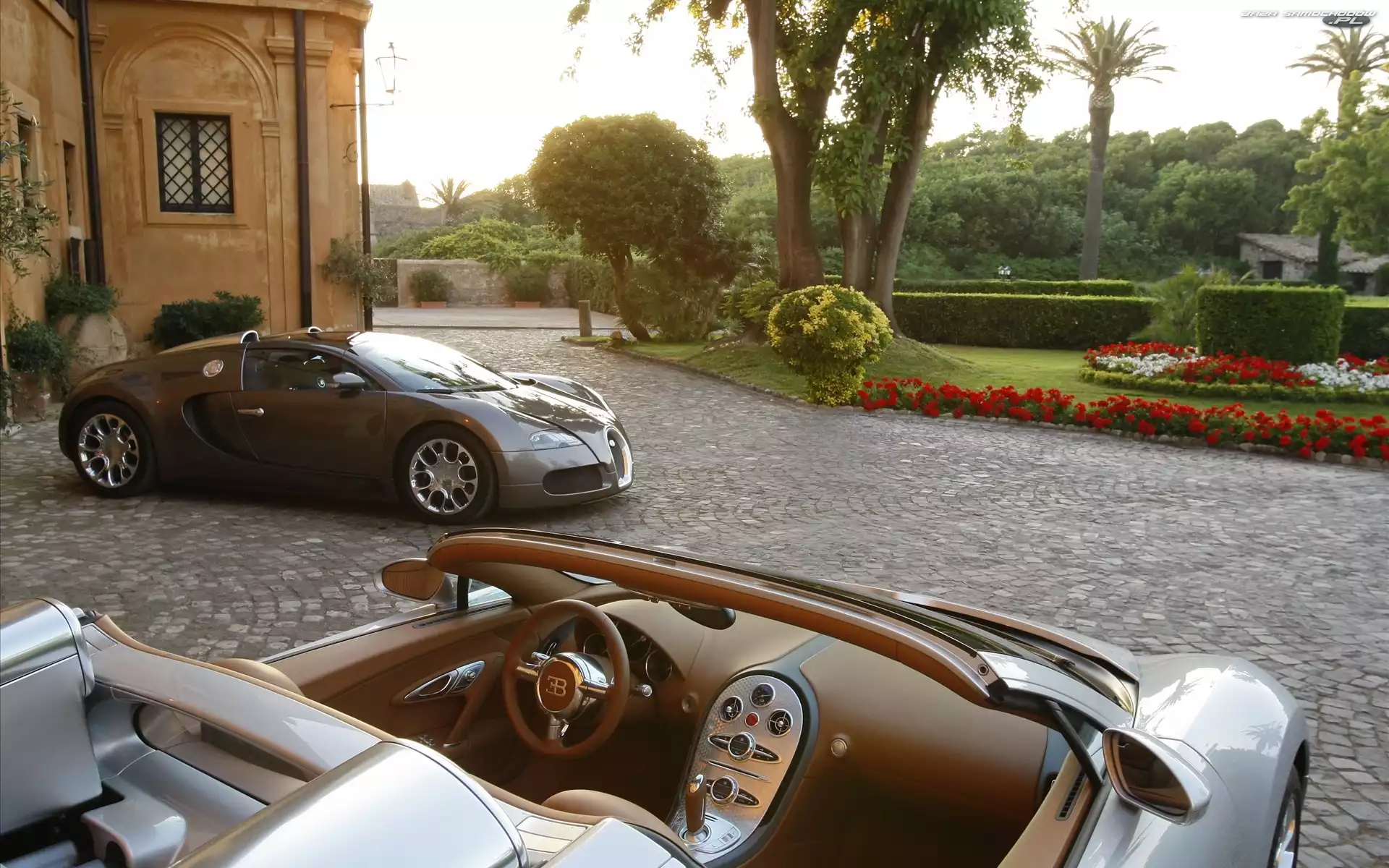 Ogród, Bugatti Veyron, Dom, Samochód