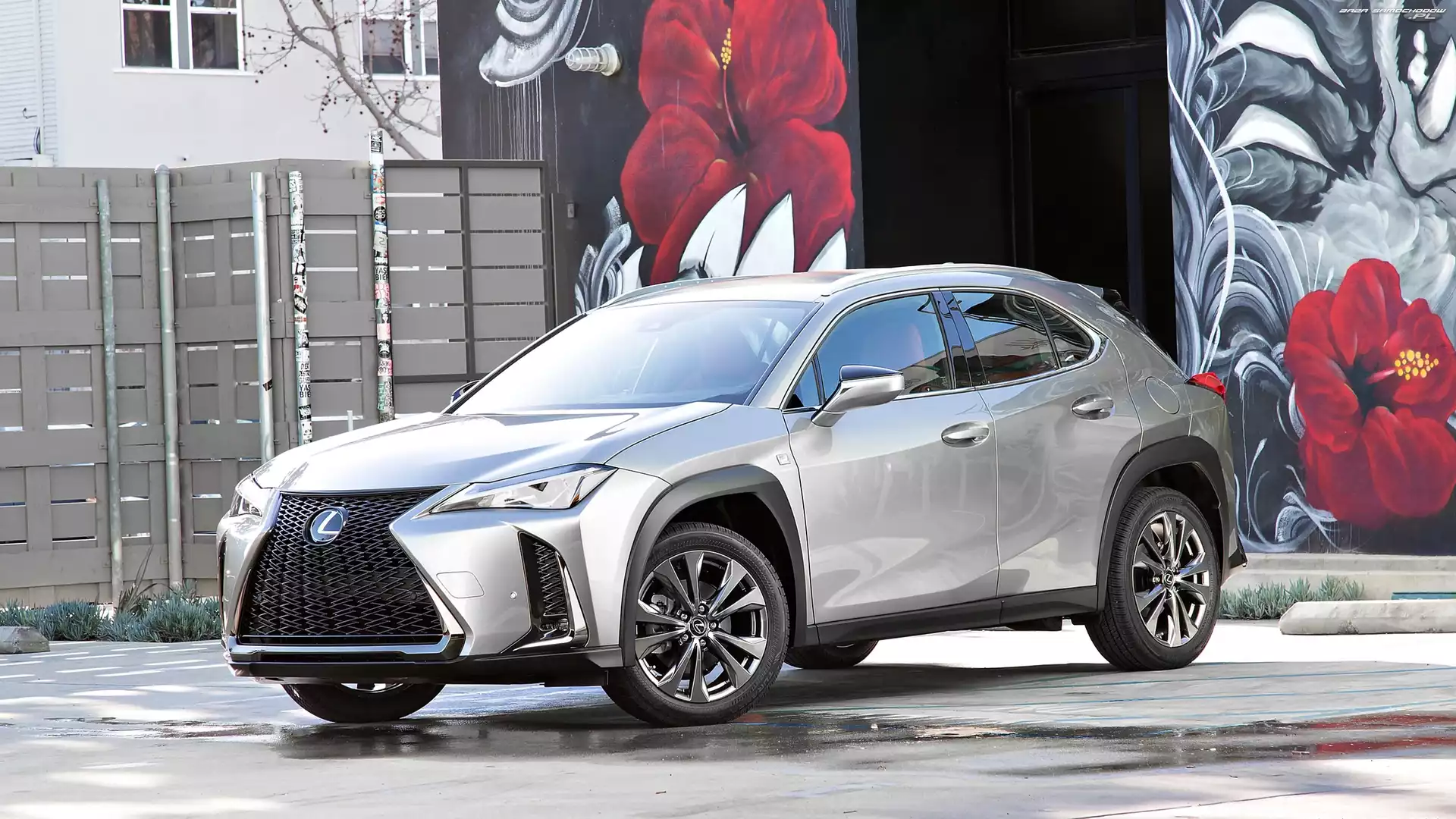 Ogrodzenie, Ściana, Lexus UX200, Kolorowa