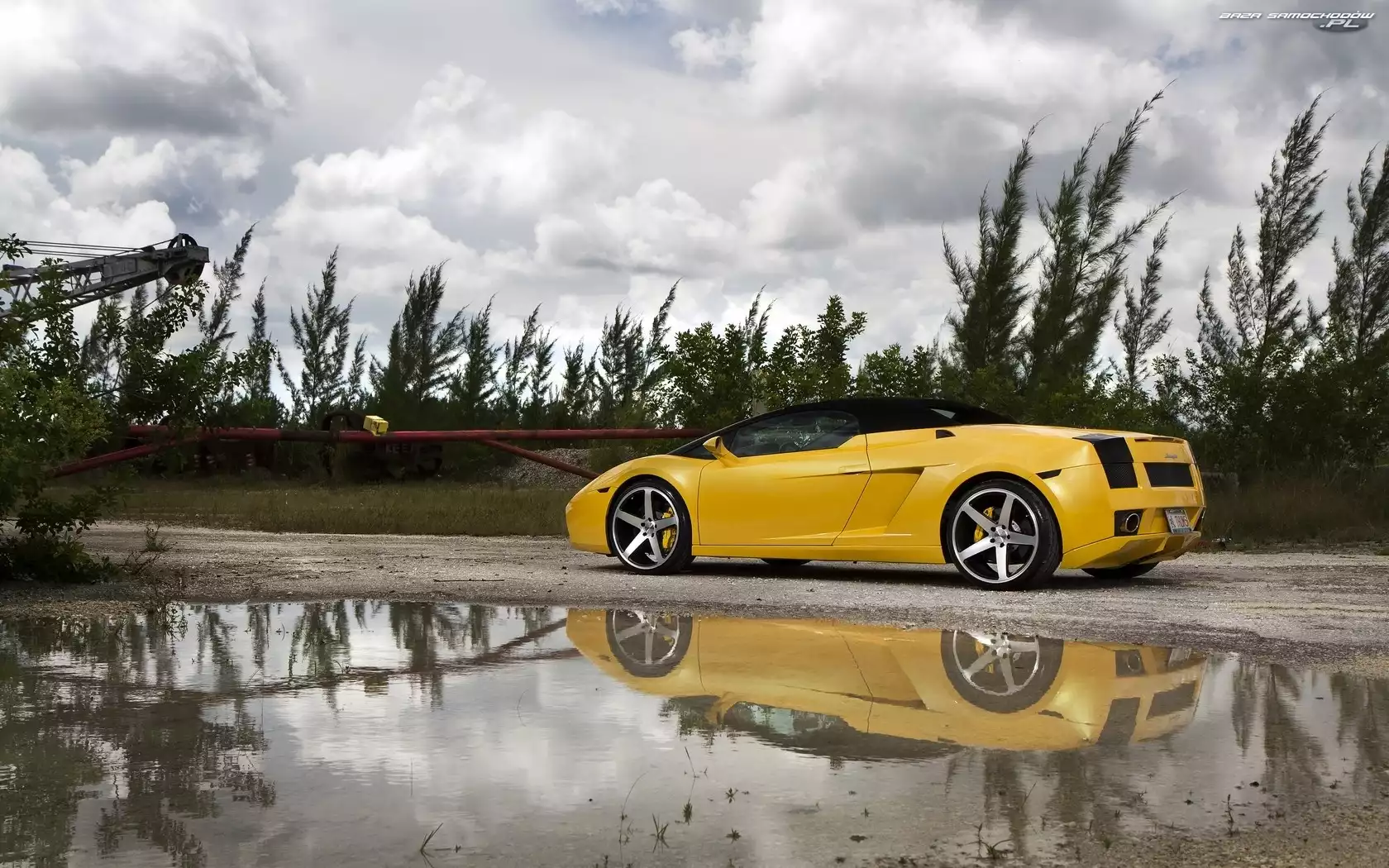 Felgi, Żółte, Lamborghini