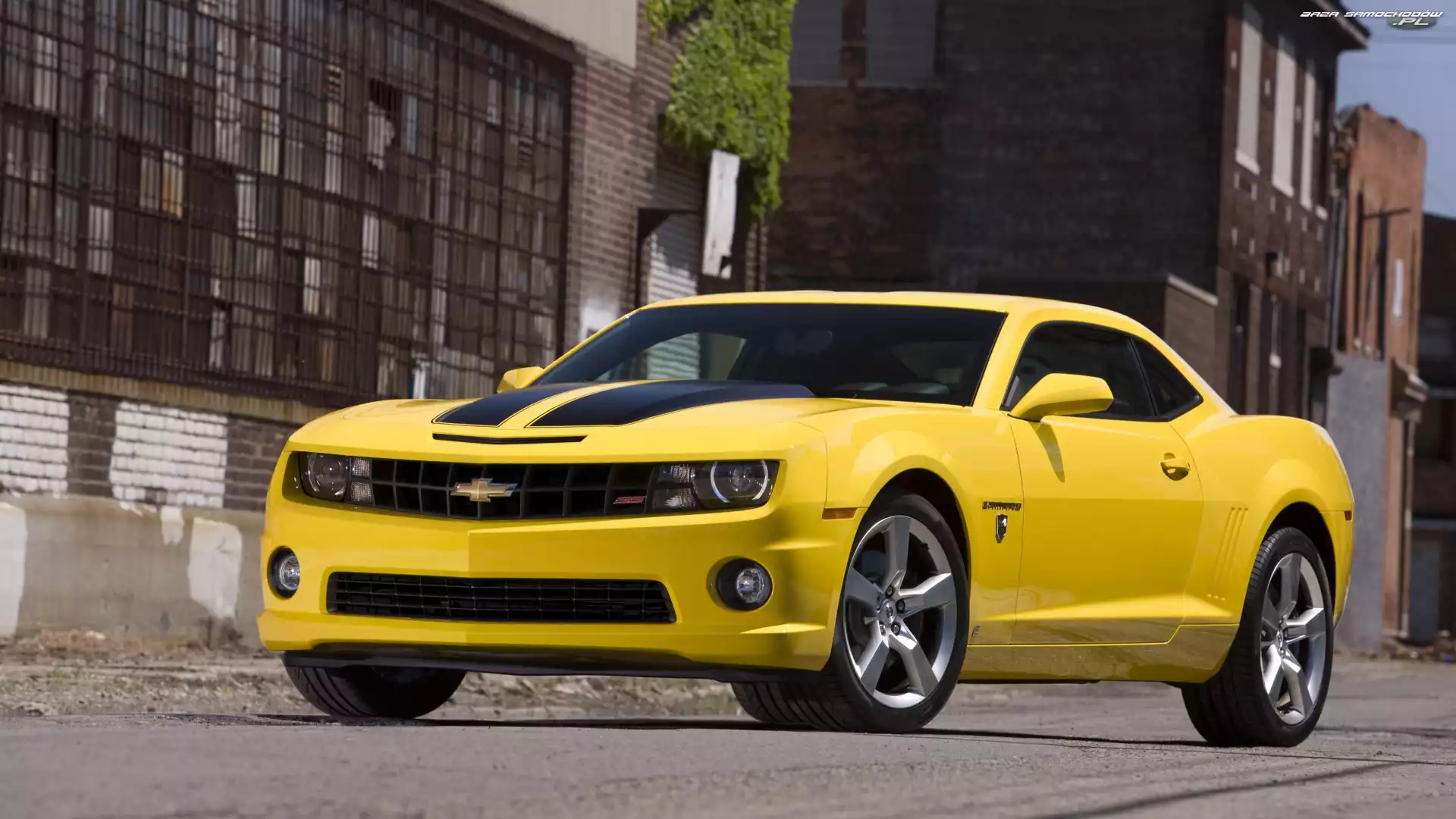 2010, Żółty, Chevrolet Camaro Transformers Special Edition