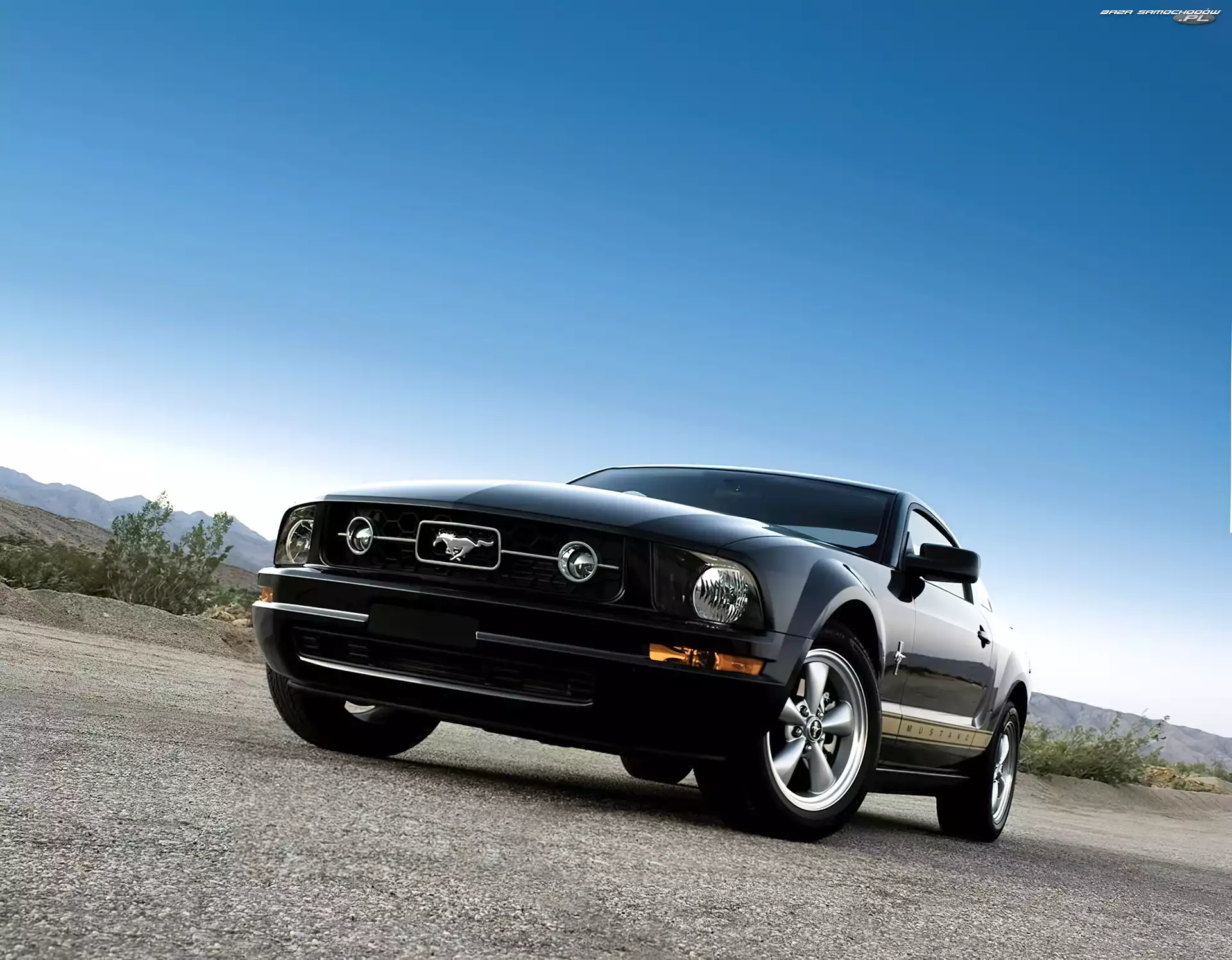 Package, Ford Mustang V6, Pony