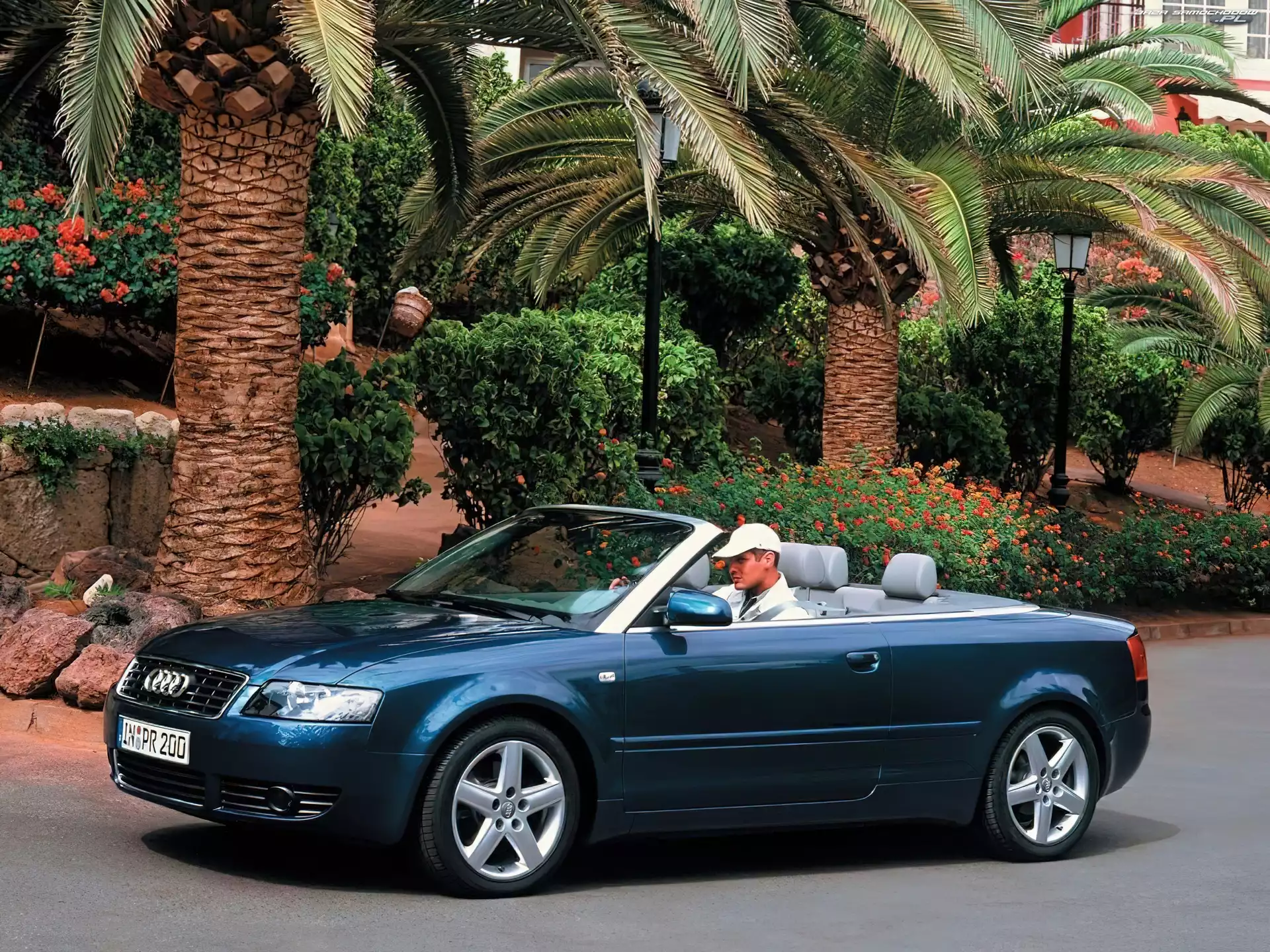 Palmy, Audi A4, Cabrio