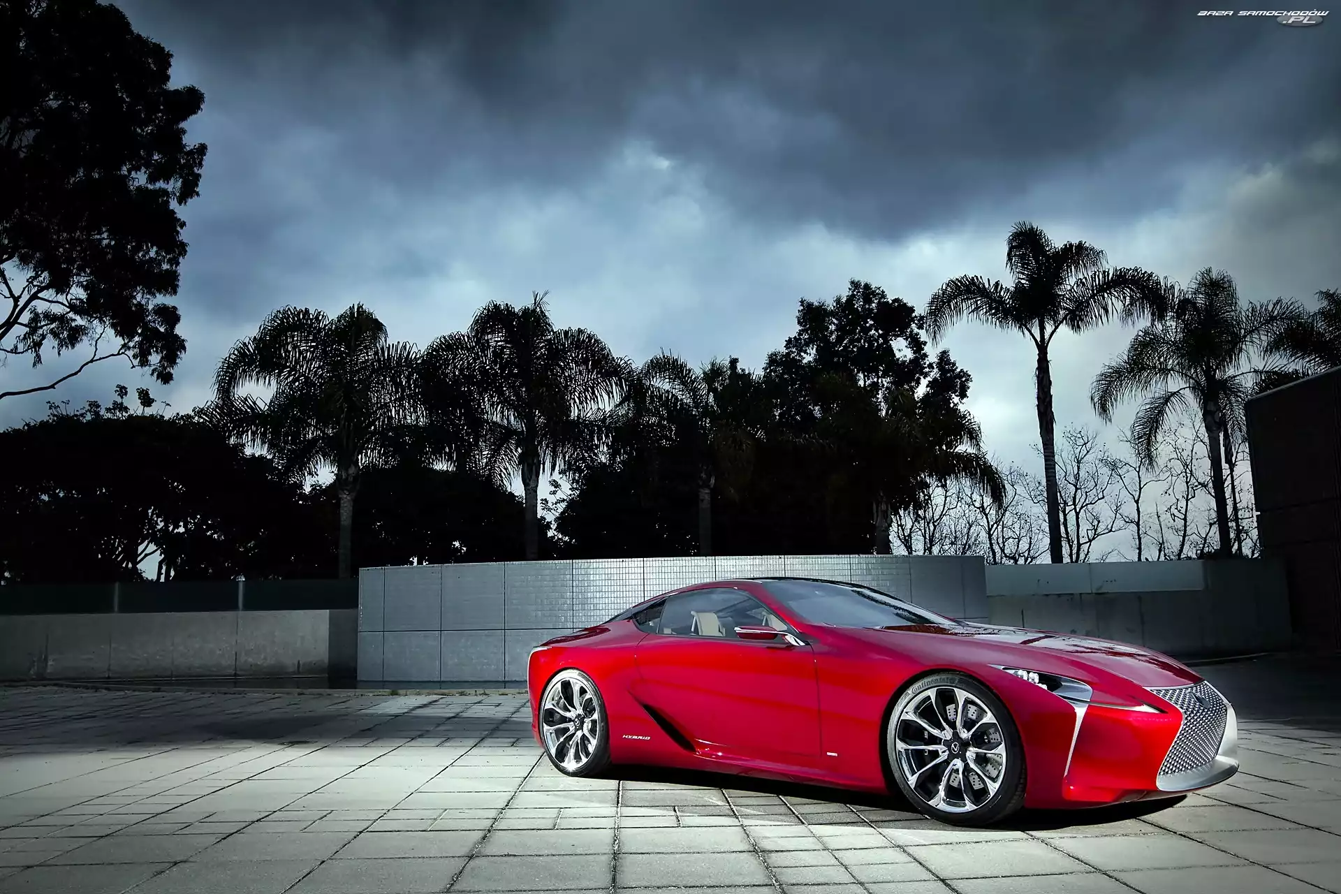 Palmy, 2012, Lexus, Czerwony, LF-LC