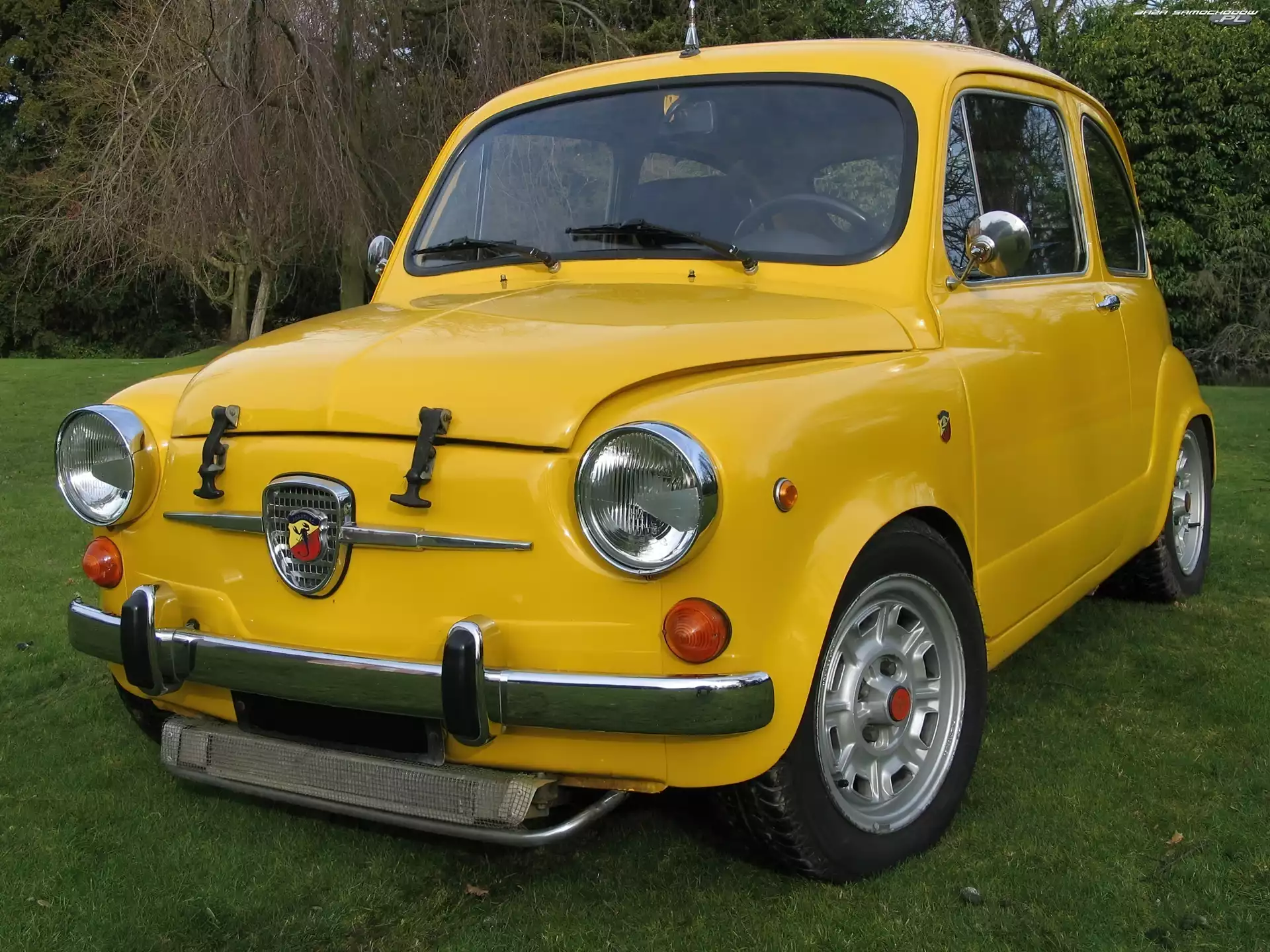Park, Żółty, Abarth 600