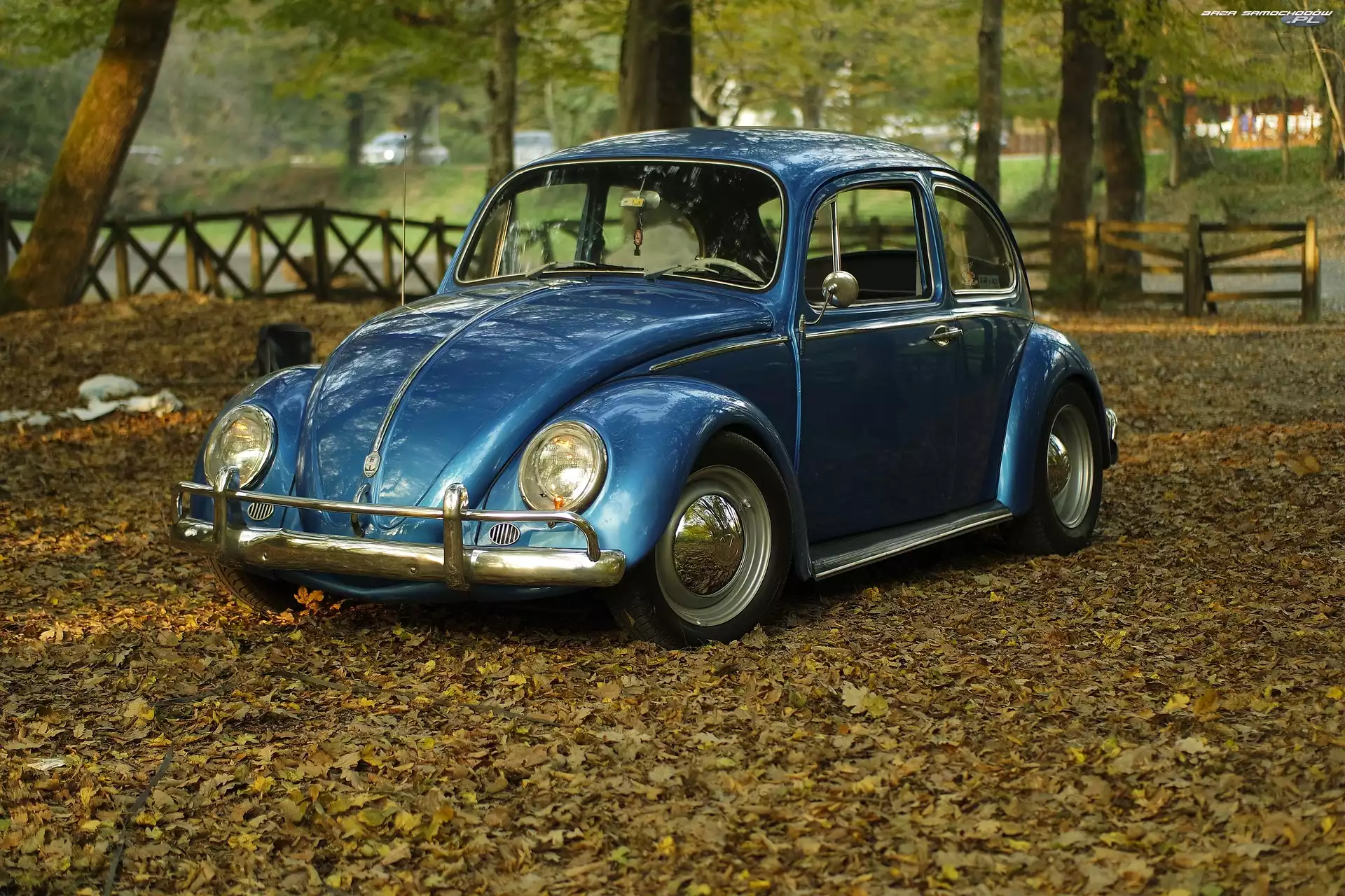 Park, Volkswagen Beetle, Garbus