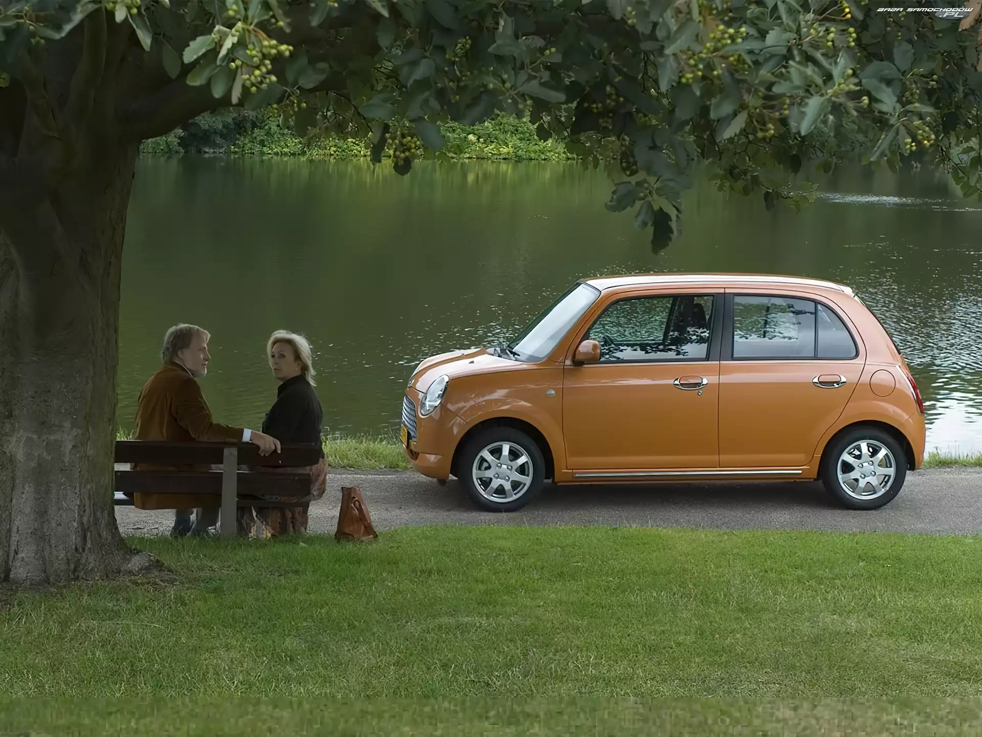 Park, Pomarańczowe, Daihatsu Trevis