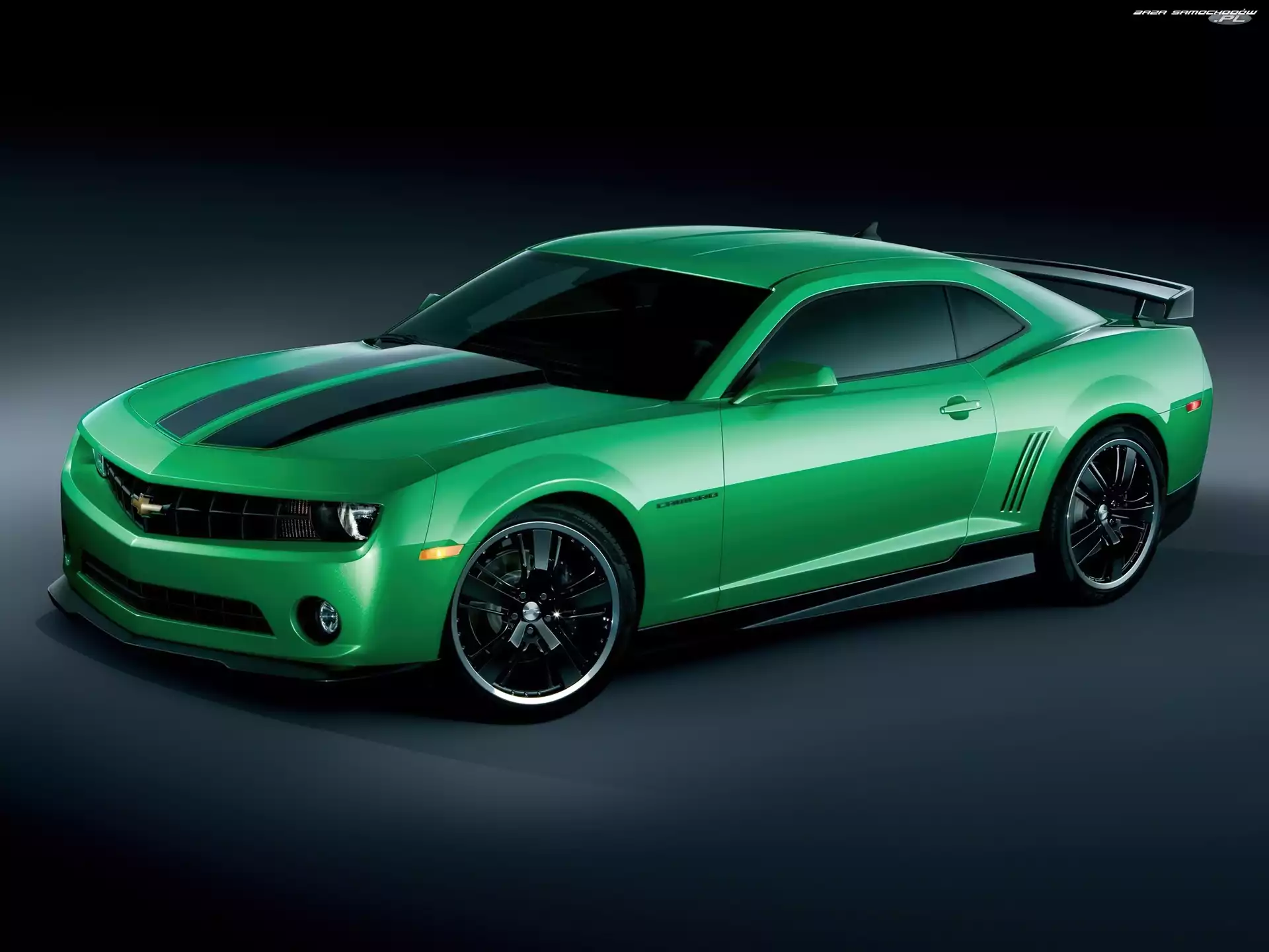 Pasy, Chevrolet Camaro, Czarne