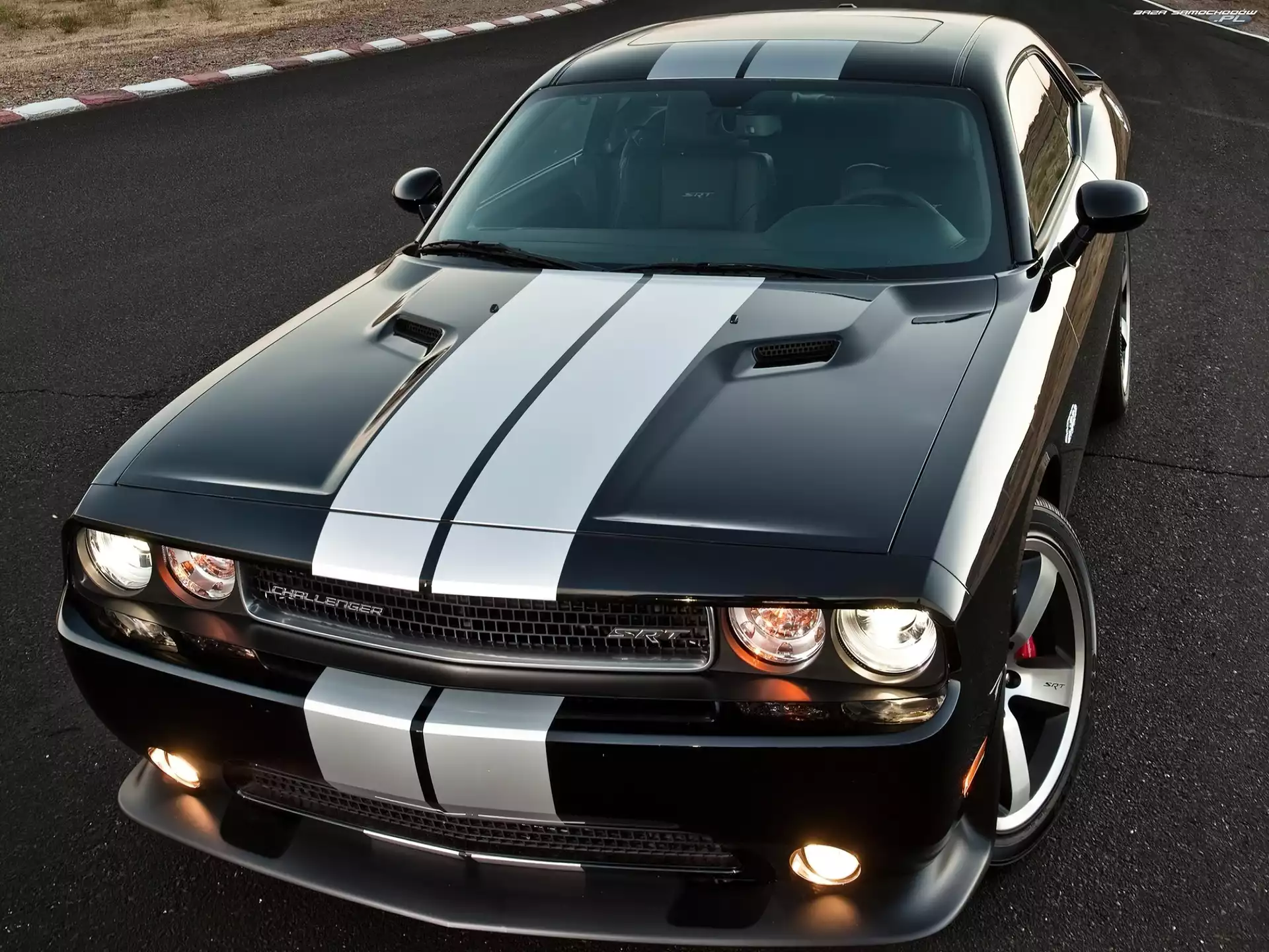Pasy, Dodge Challenger STR8, Białe