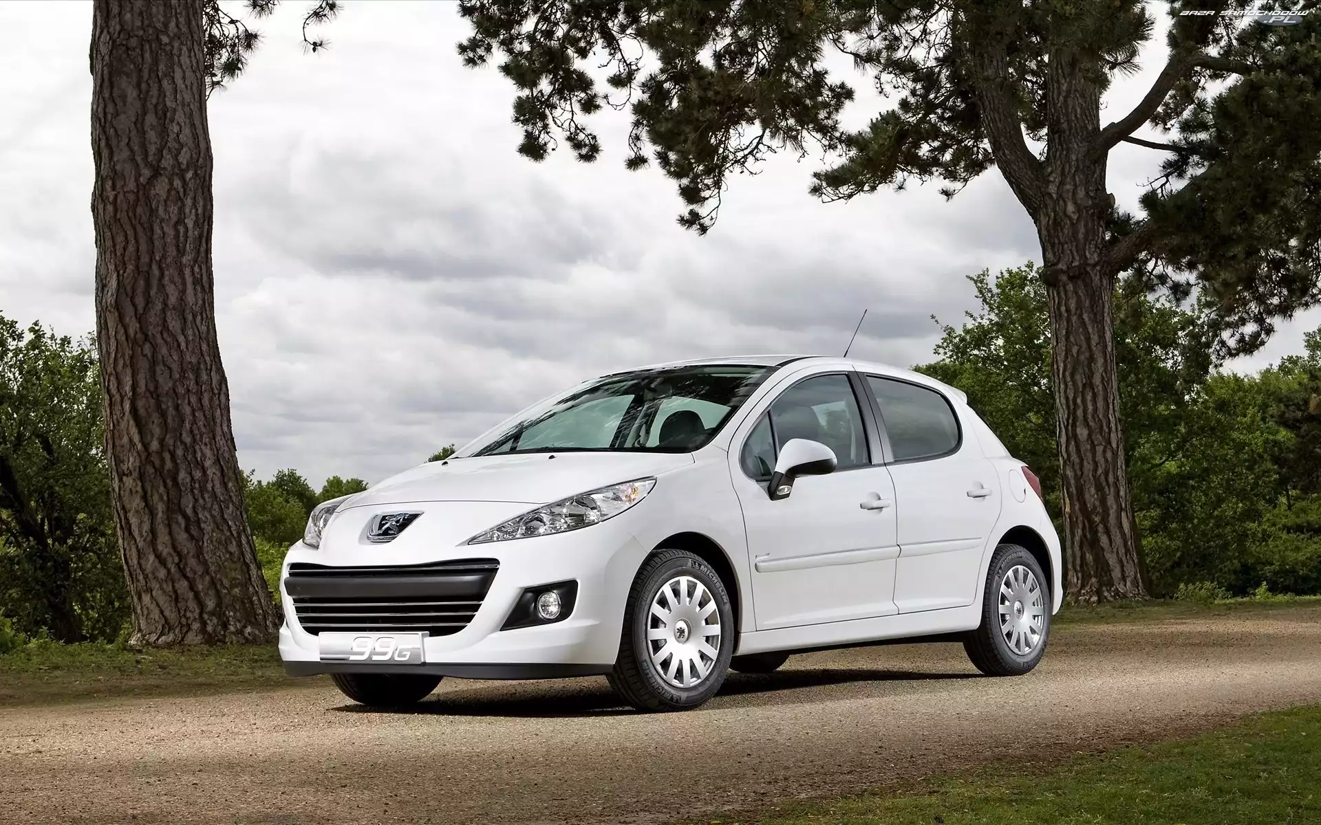 Samochód, Peugeot, 207