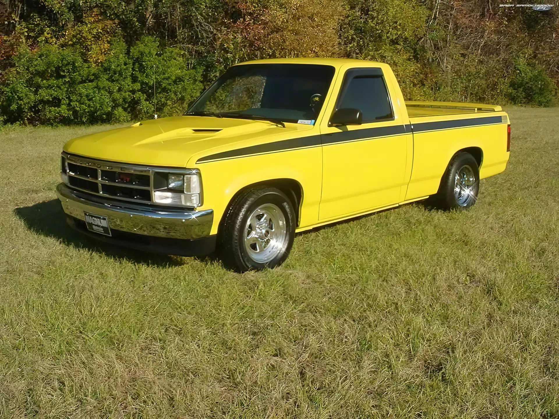 Pick-Up, Żółty, Dodge Dakota