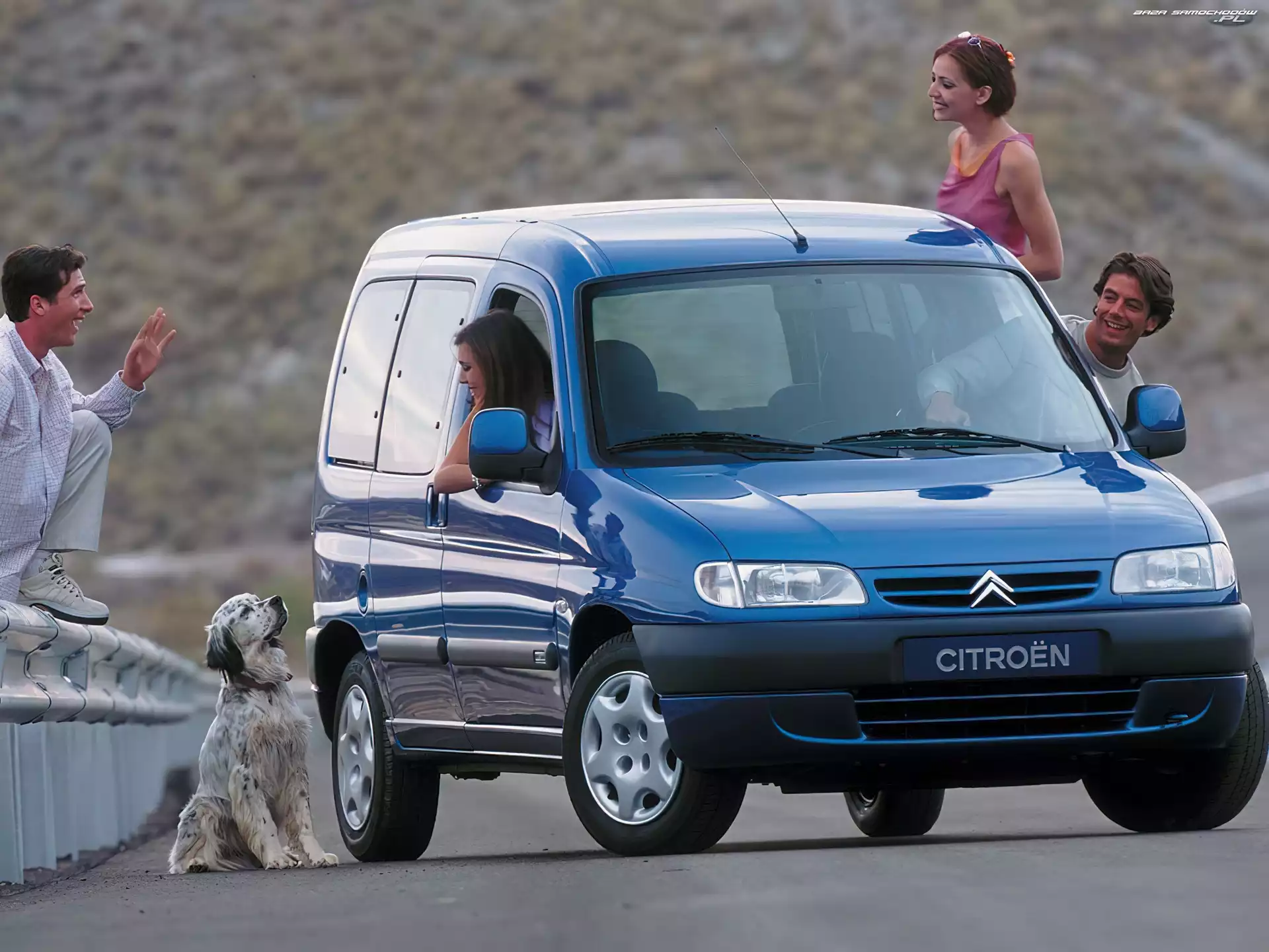 Pies, Citroen Berlingo, Rodzina