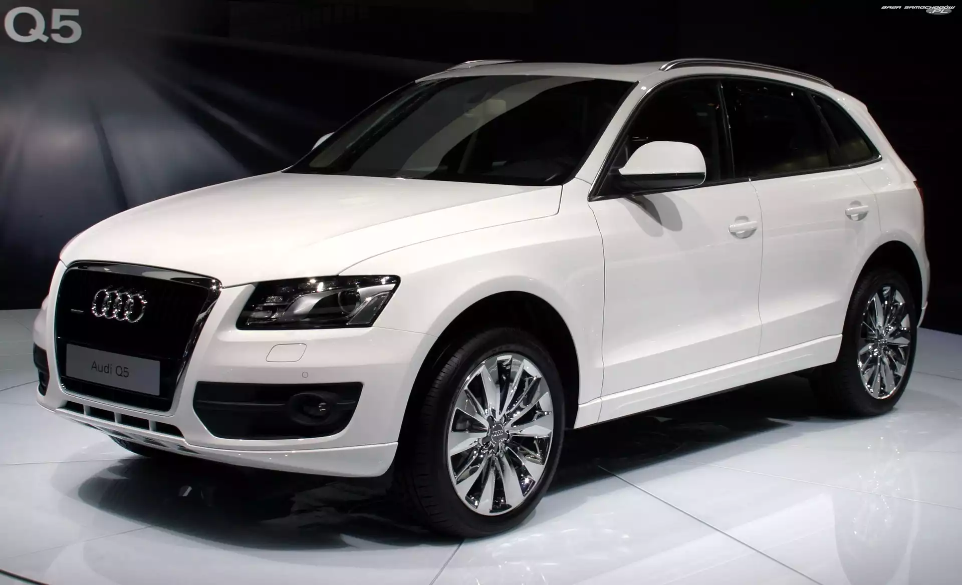 Pokaz, Białe, Audi Q5