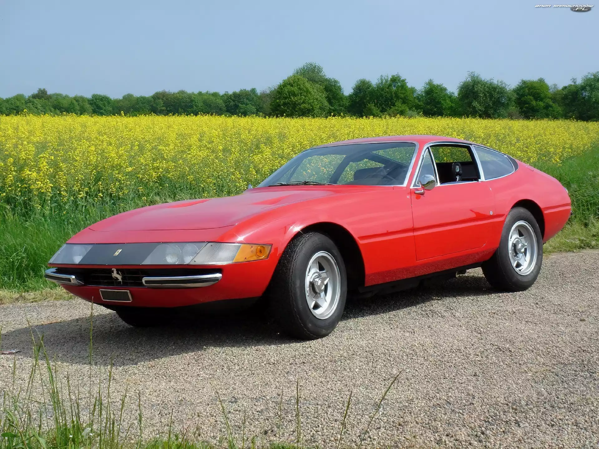 Ferrari Daytona, Bok, Pole, Czerwone, Lewy