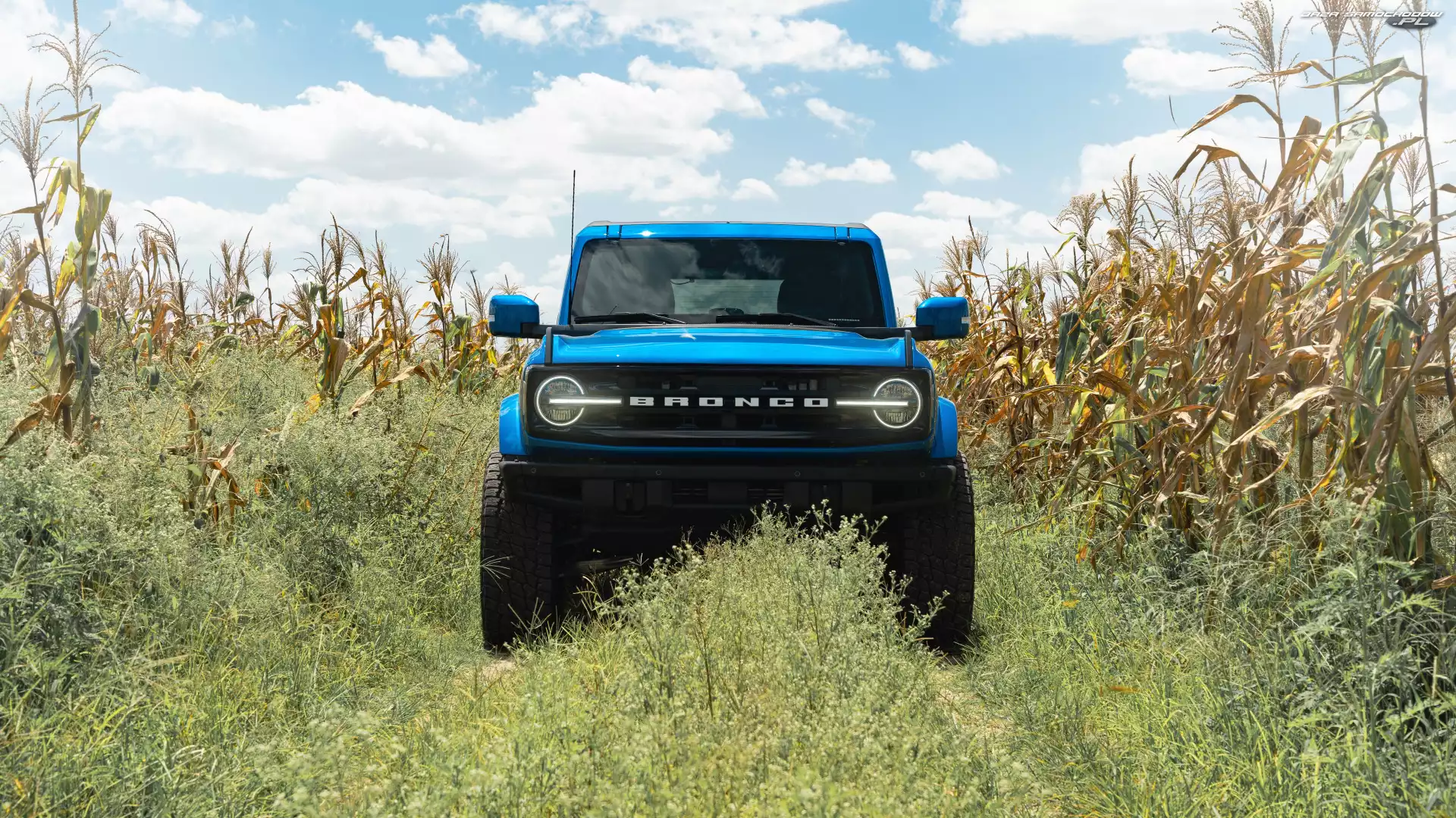 Kukurydza, Ford Bronco, Pole