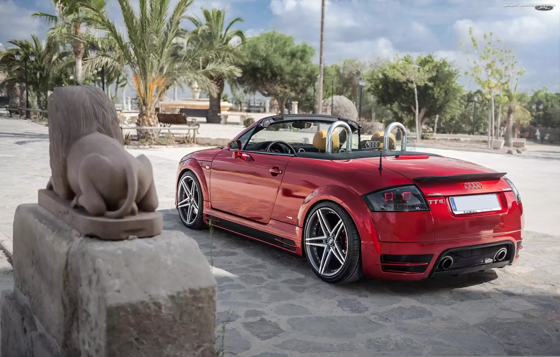 Drzewa, Pomnik, Audi TT, Palmy