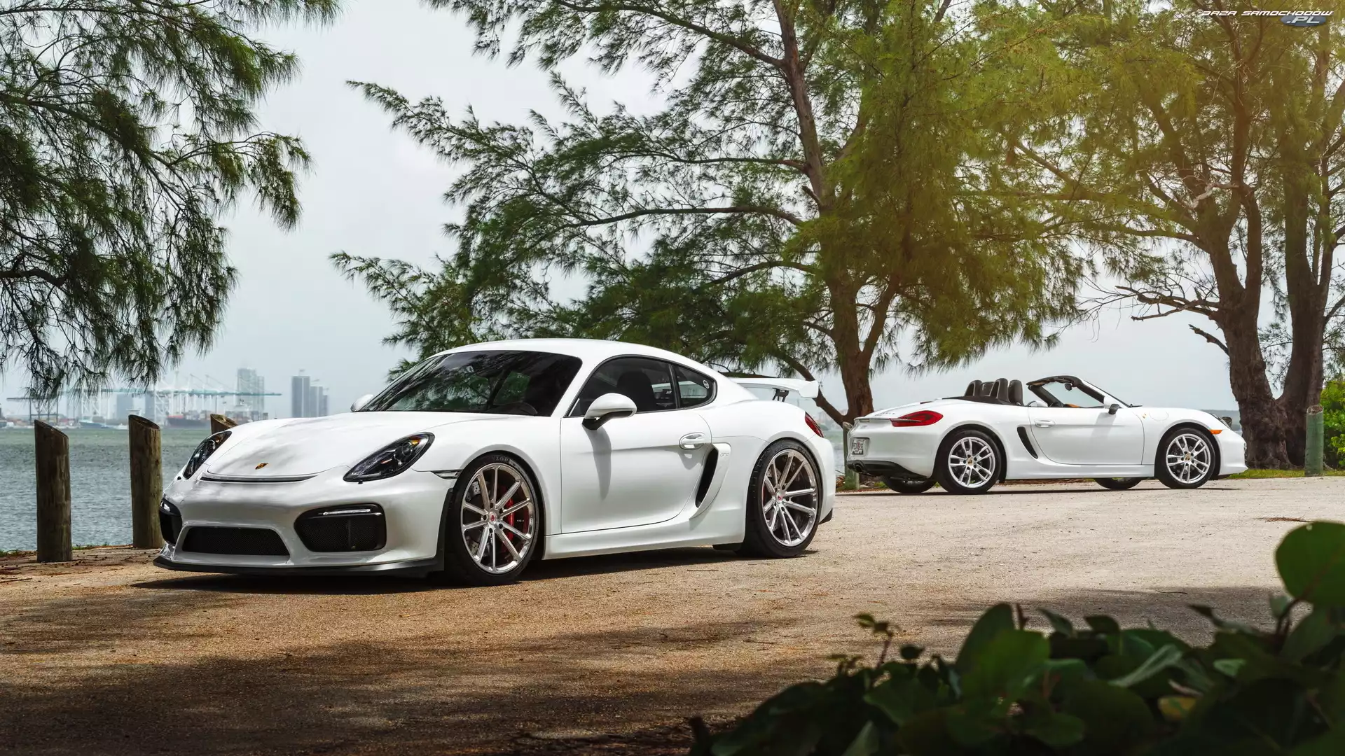 Porche Cayman GT4, Dwa, Białe
