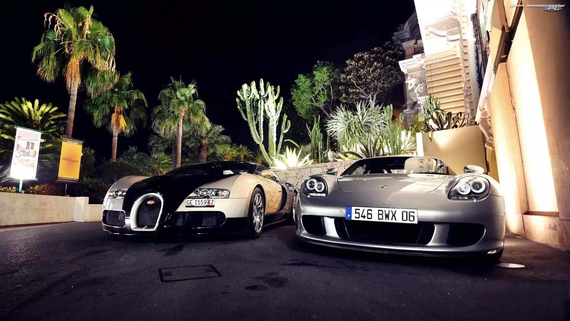 Porsche Carrera Veyron, Kaktusy, Dwa