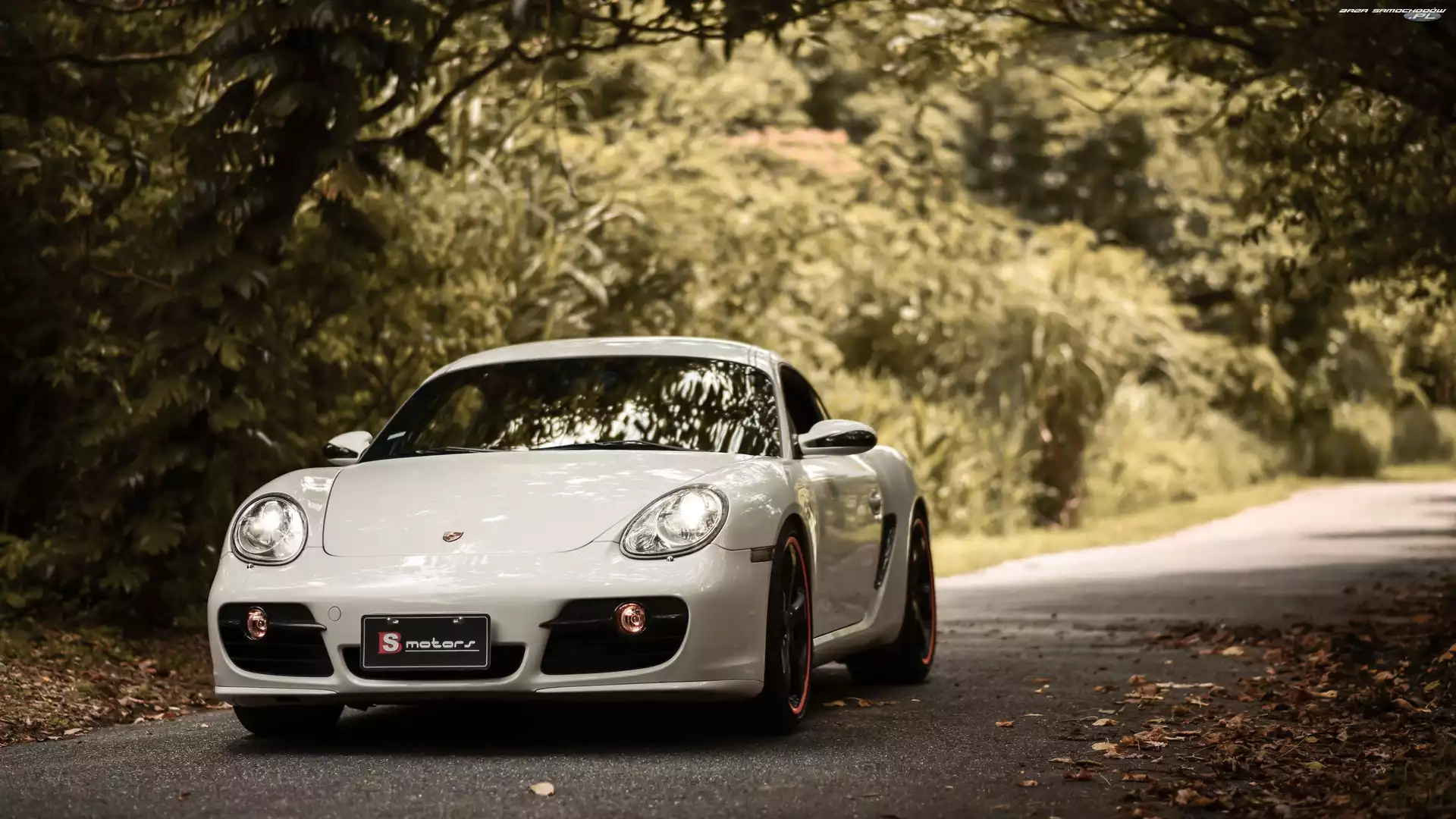 Porsche Cayman S, Droga