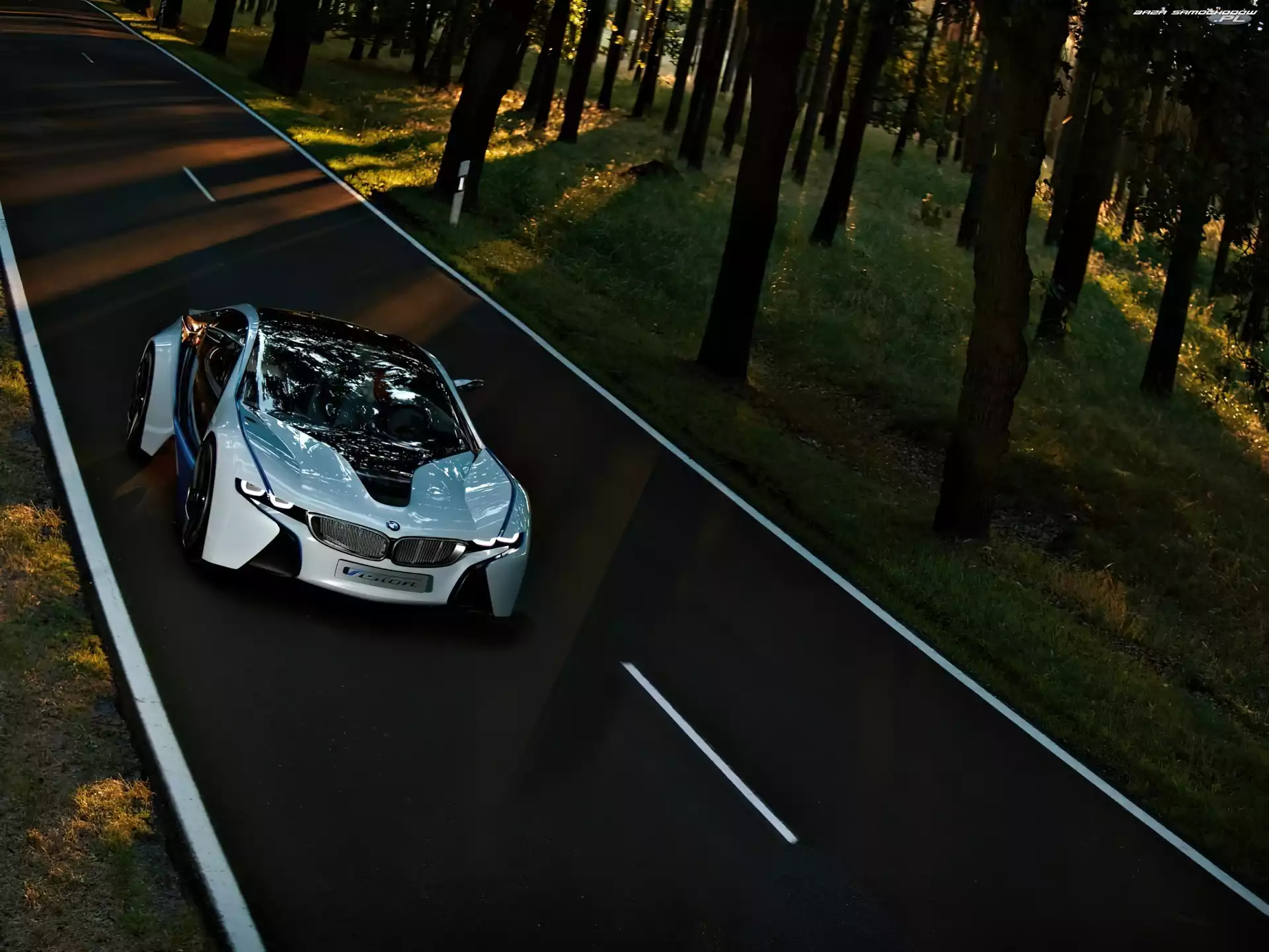Przeszklona, BMW Vision, Przestrzeń