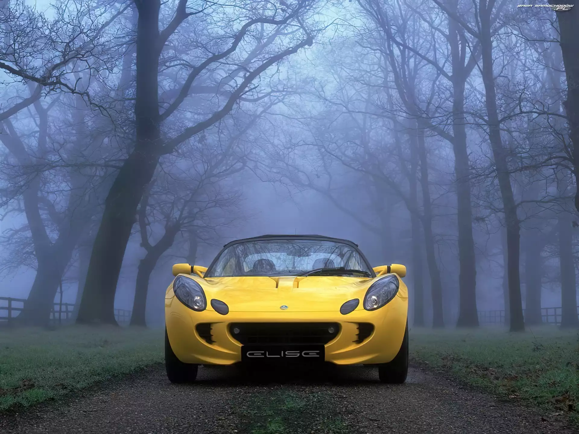 Przód, Żółty, Lotus Elise