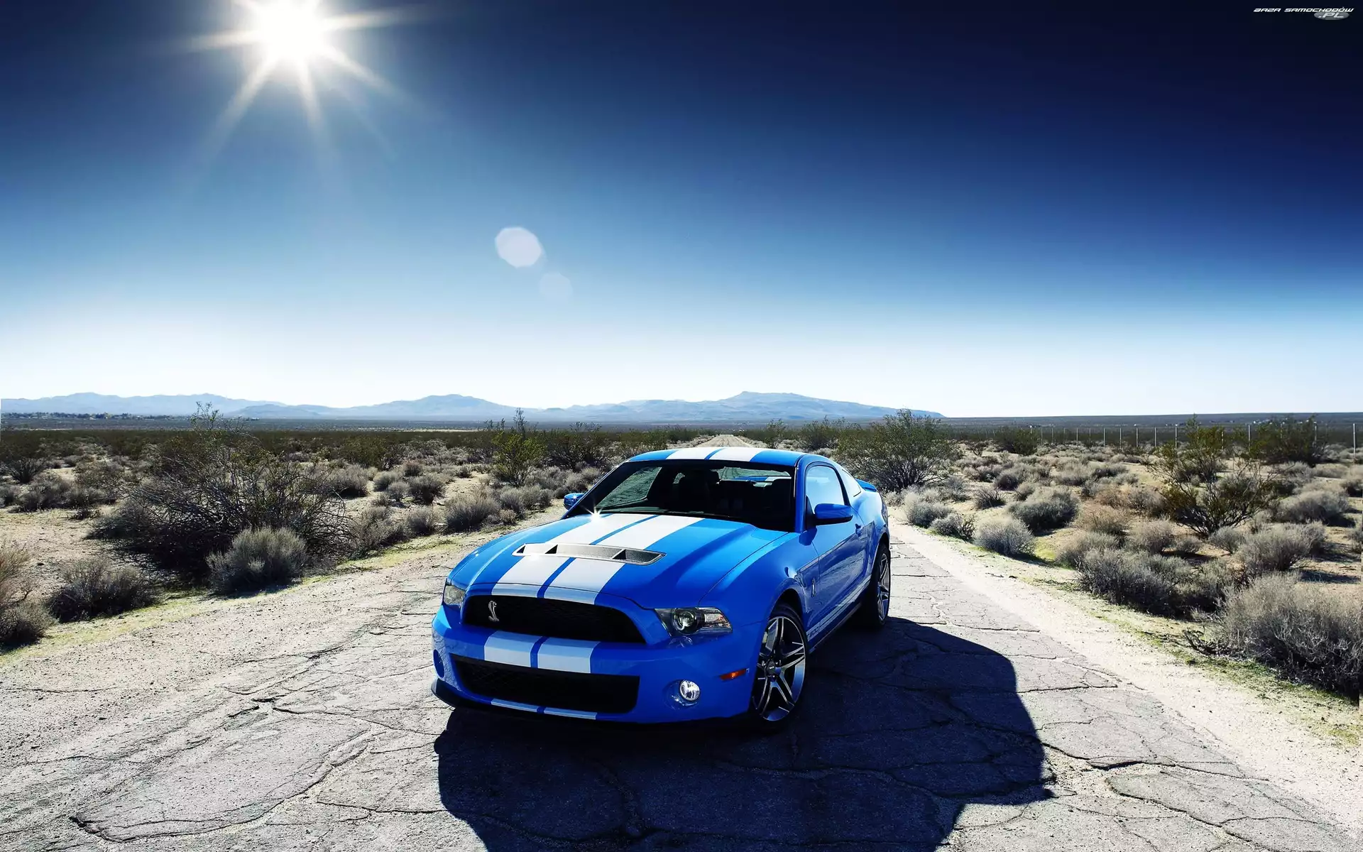 Pustynia, Ford Mustang, Shelby