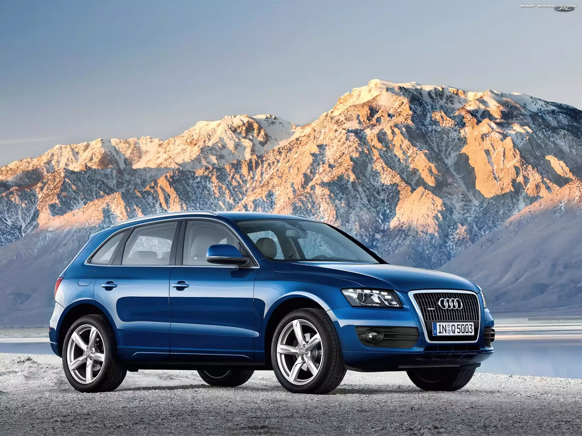 SUV, Audi Q5
