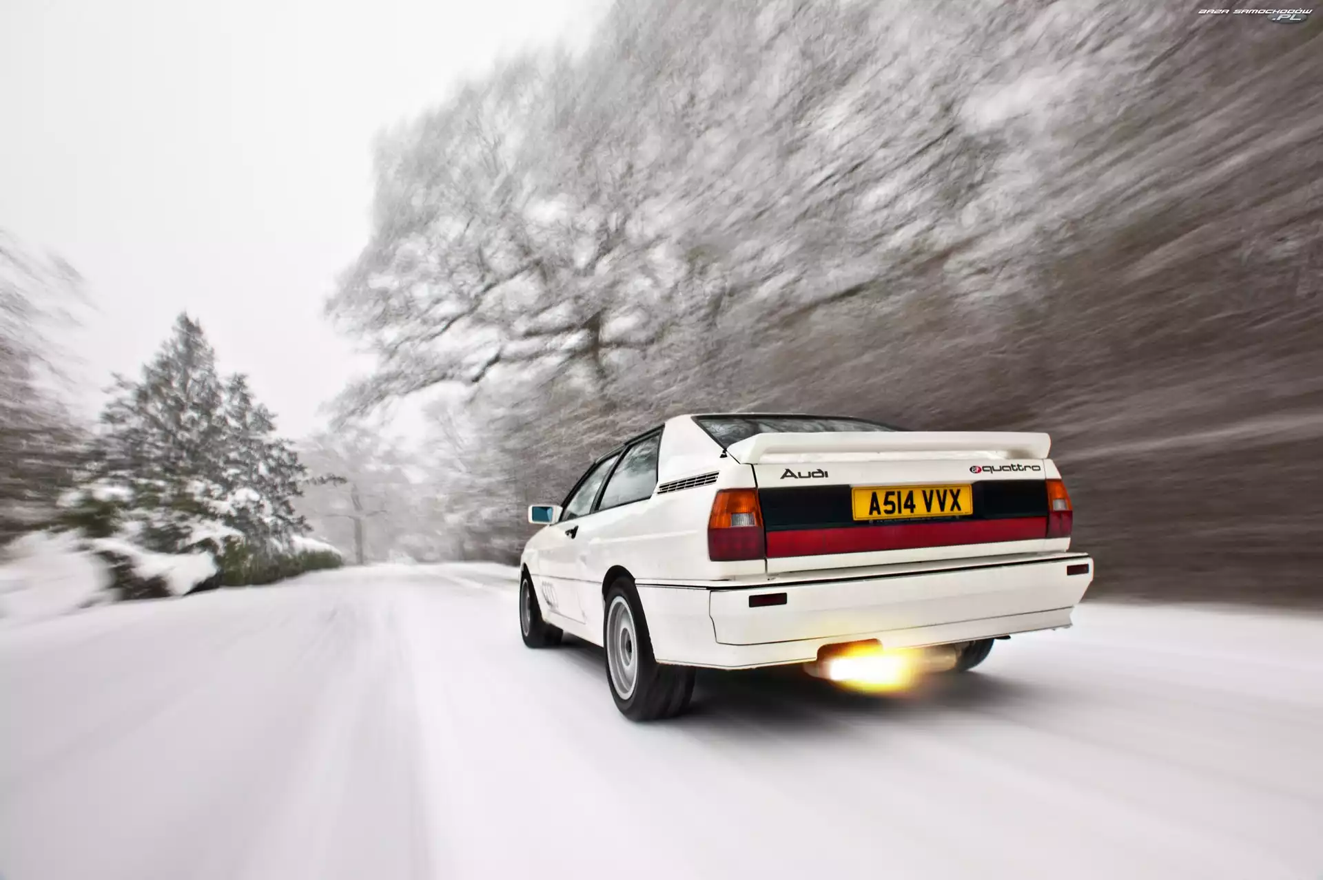 Quattro, Śnieg, Audi, Białe