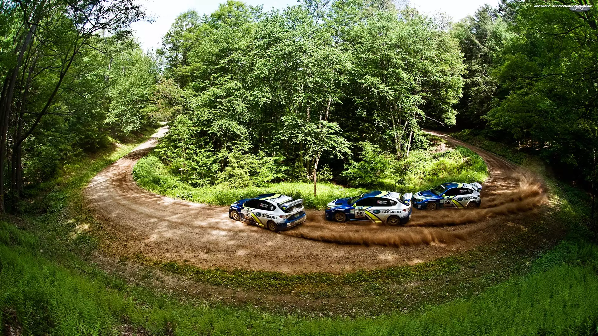Rajd, Samochodowy