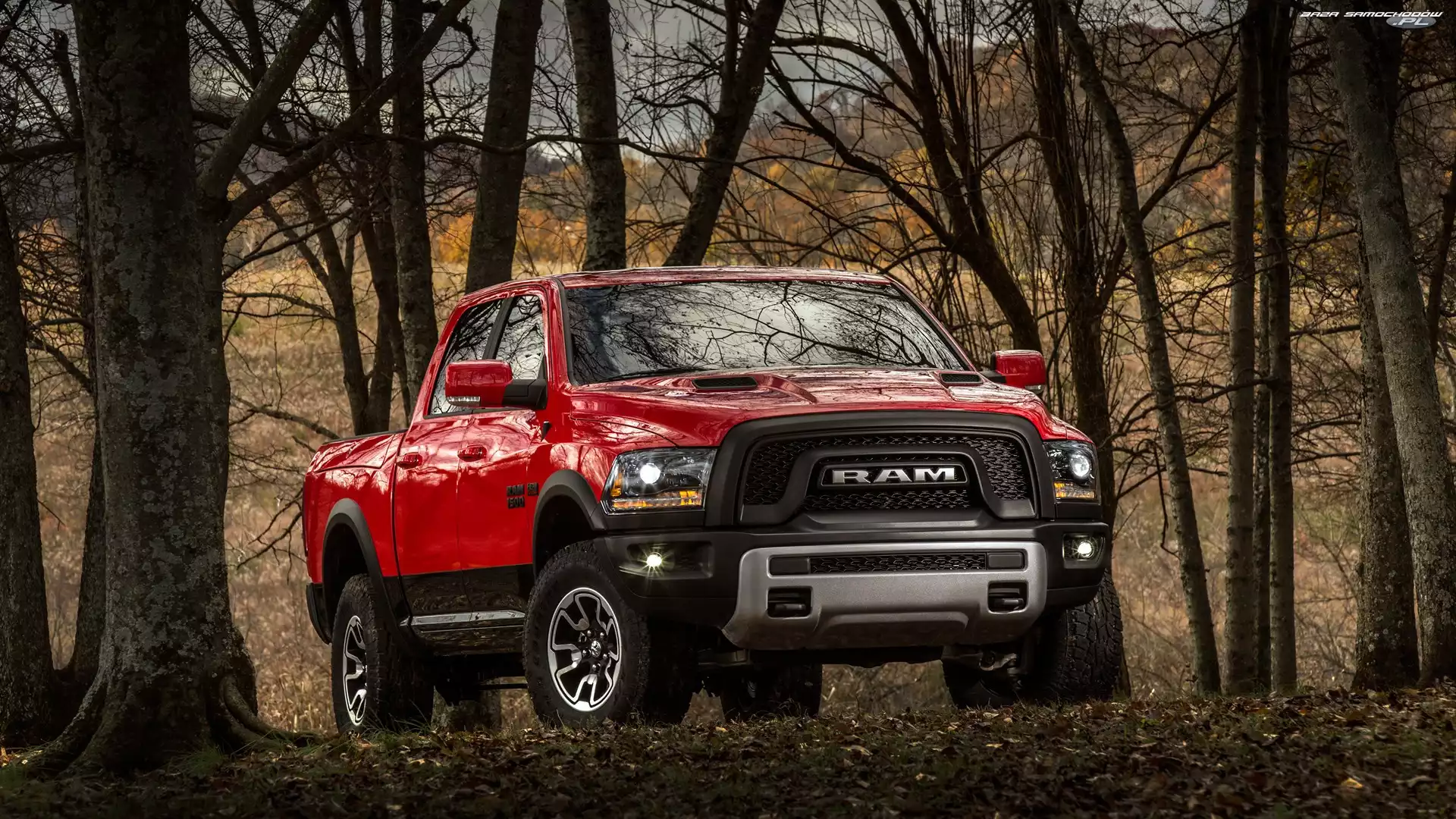 Czerwony, Dodge Dodge RAM, Drzewa, Bezlistne