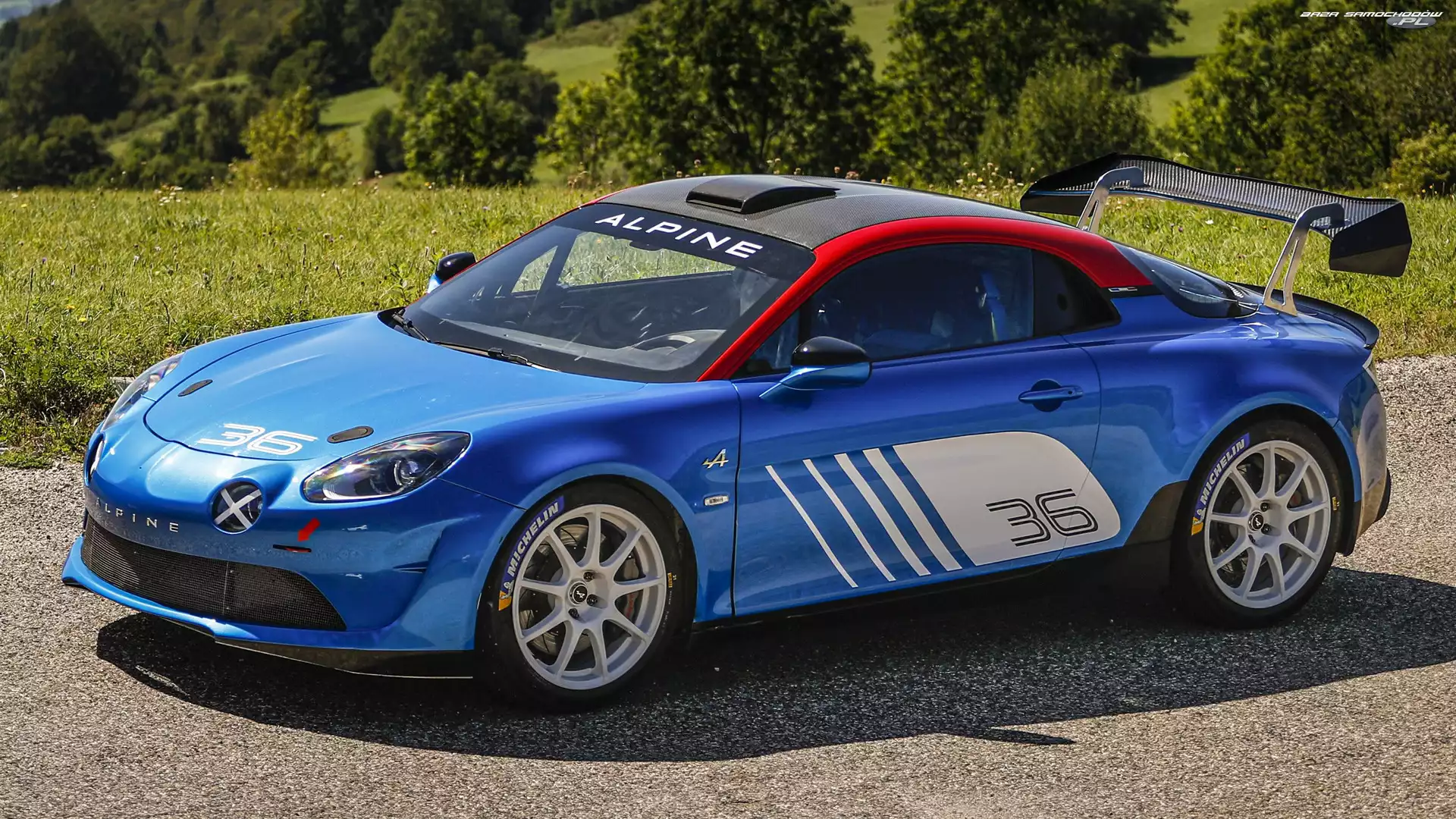 Rajdowy, Alpine A110 Rally