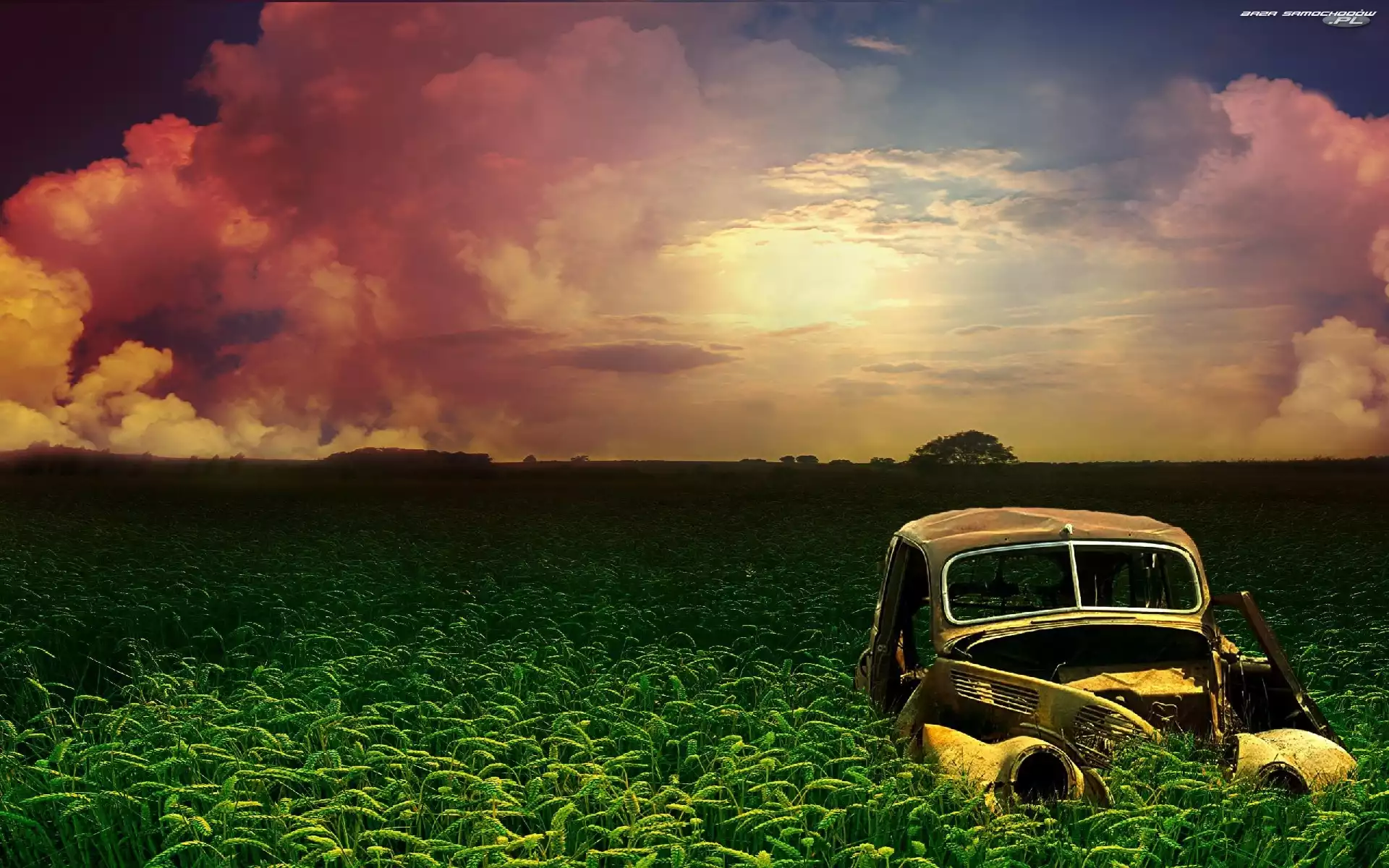 Retro, Samochód, Słońca, Zachód, Zboża