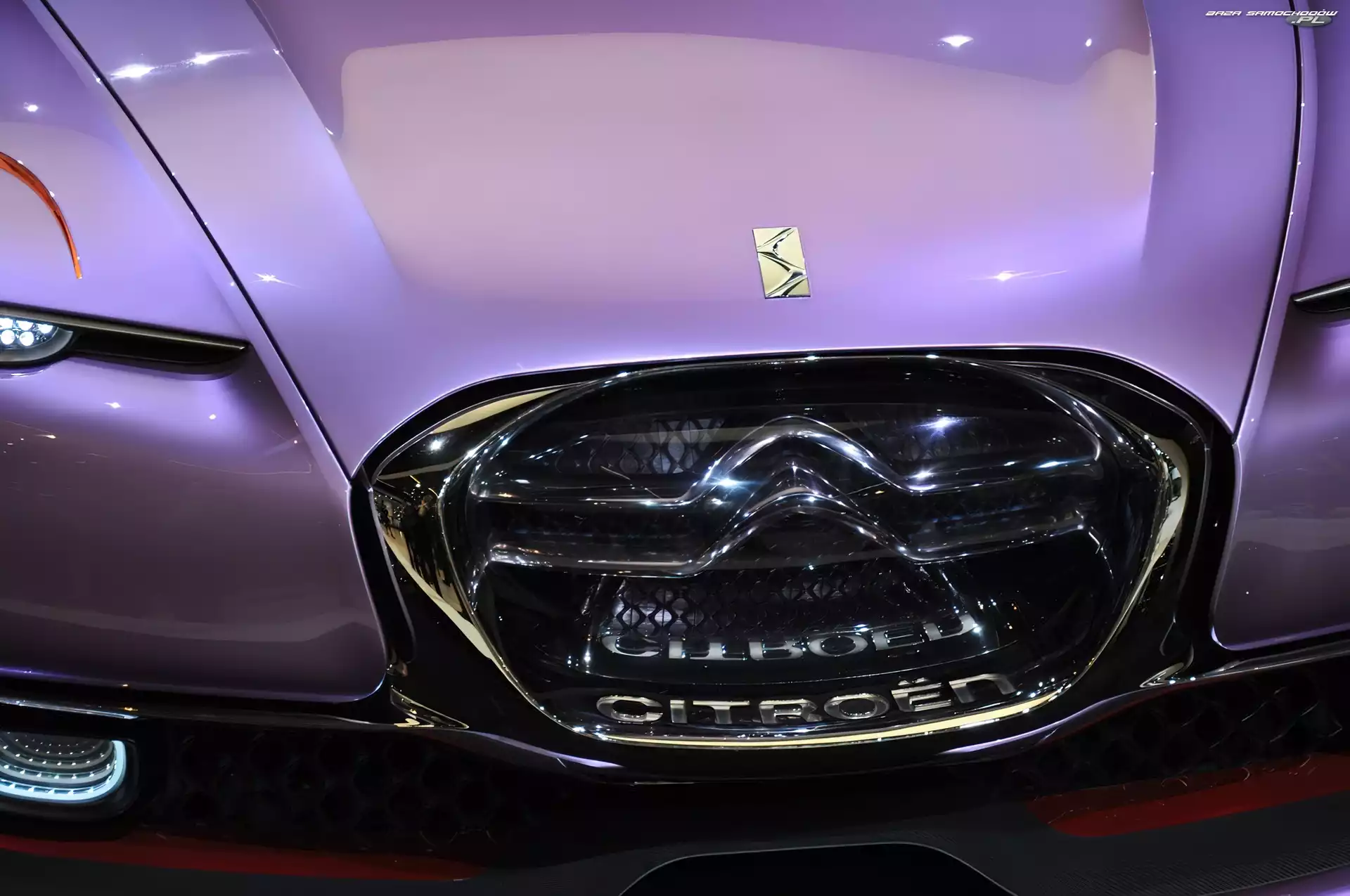 Grill, Citroen Revolte