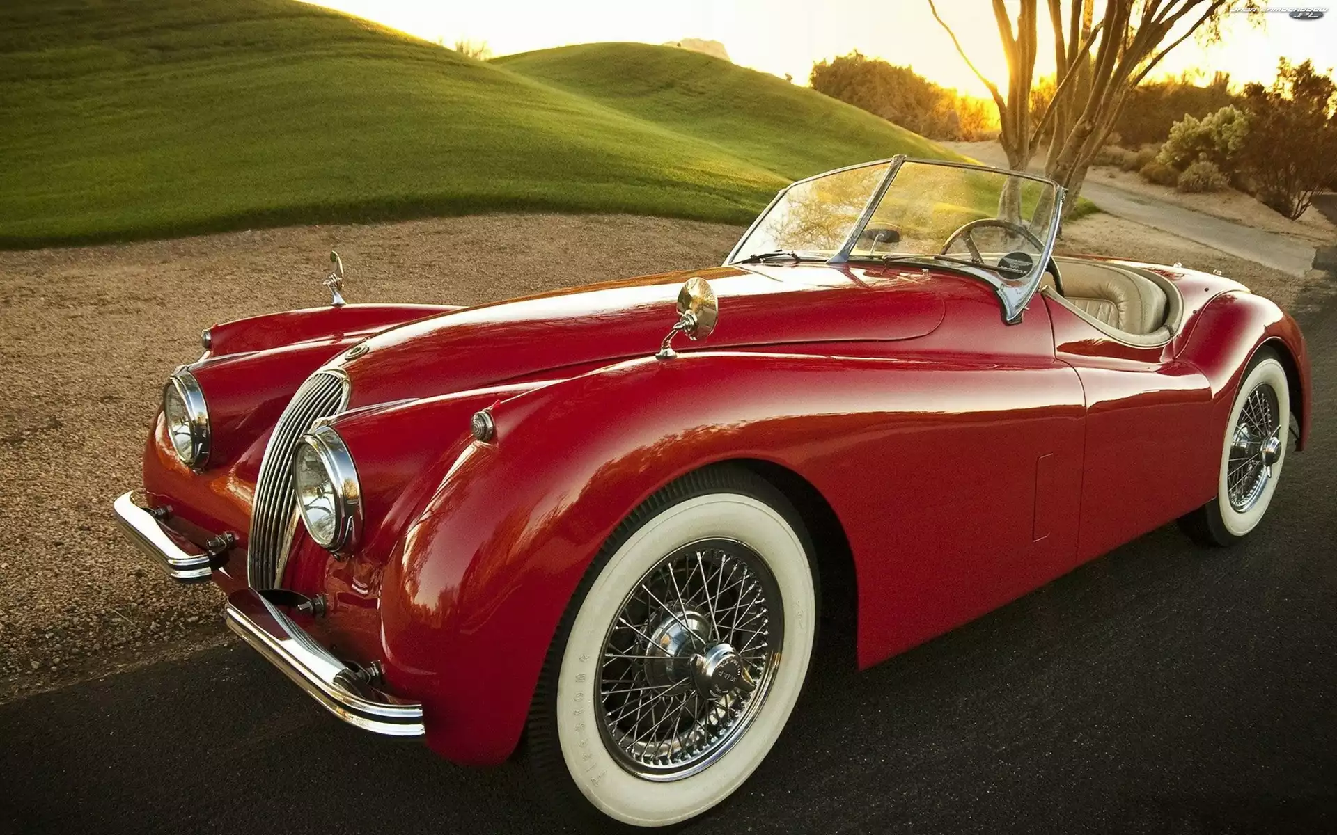 Roadster, 120, Jaguar, 1954, XK