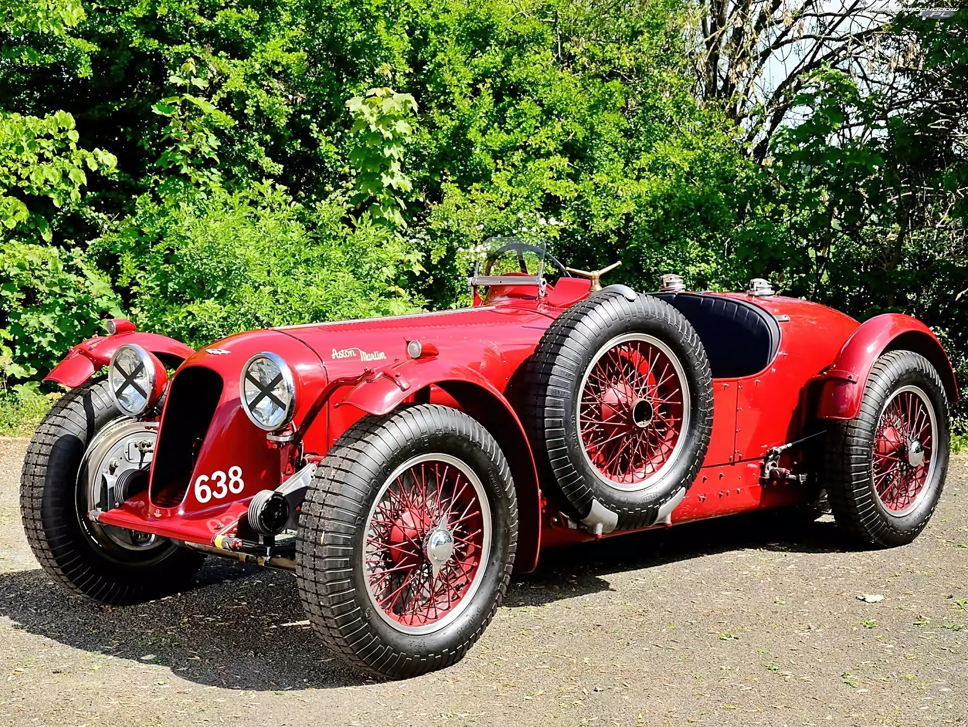 Roślinność, 1939, Aston, Retro, Martin