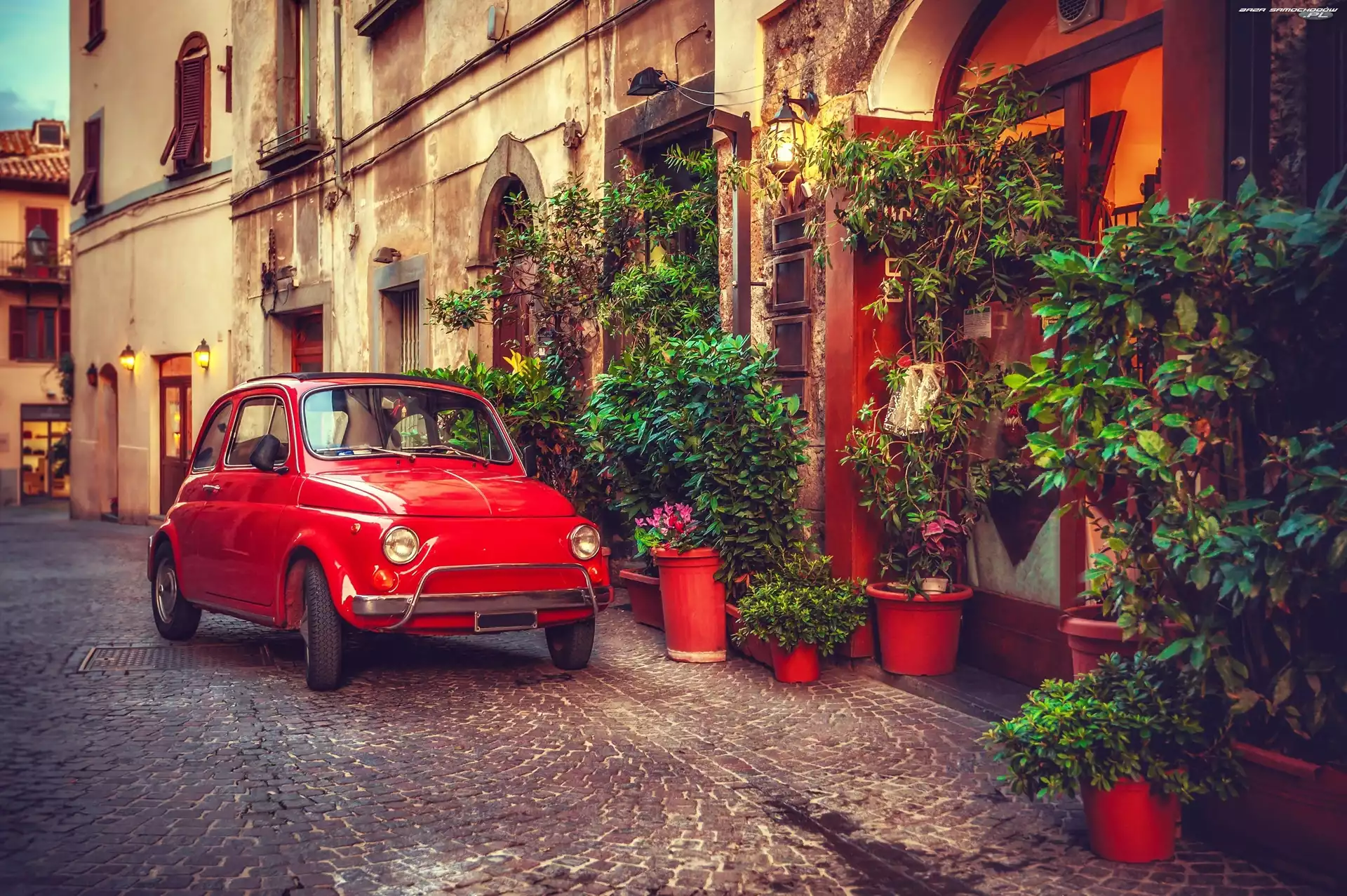 Rośliny, Fiat 500, Ulica
